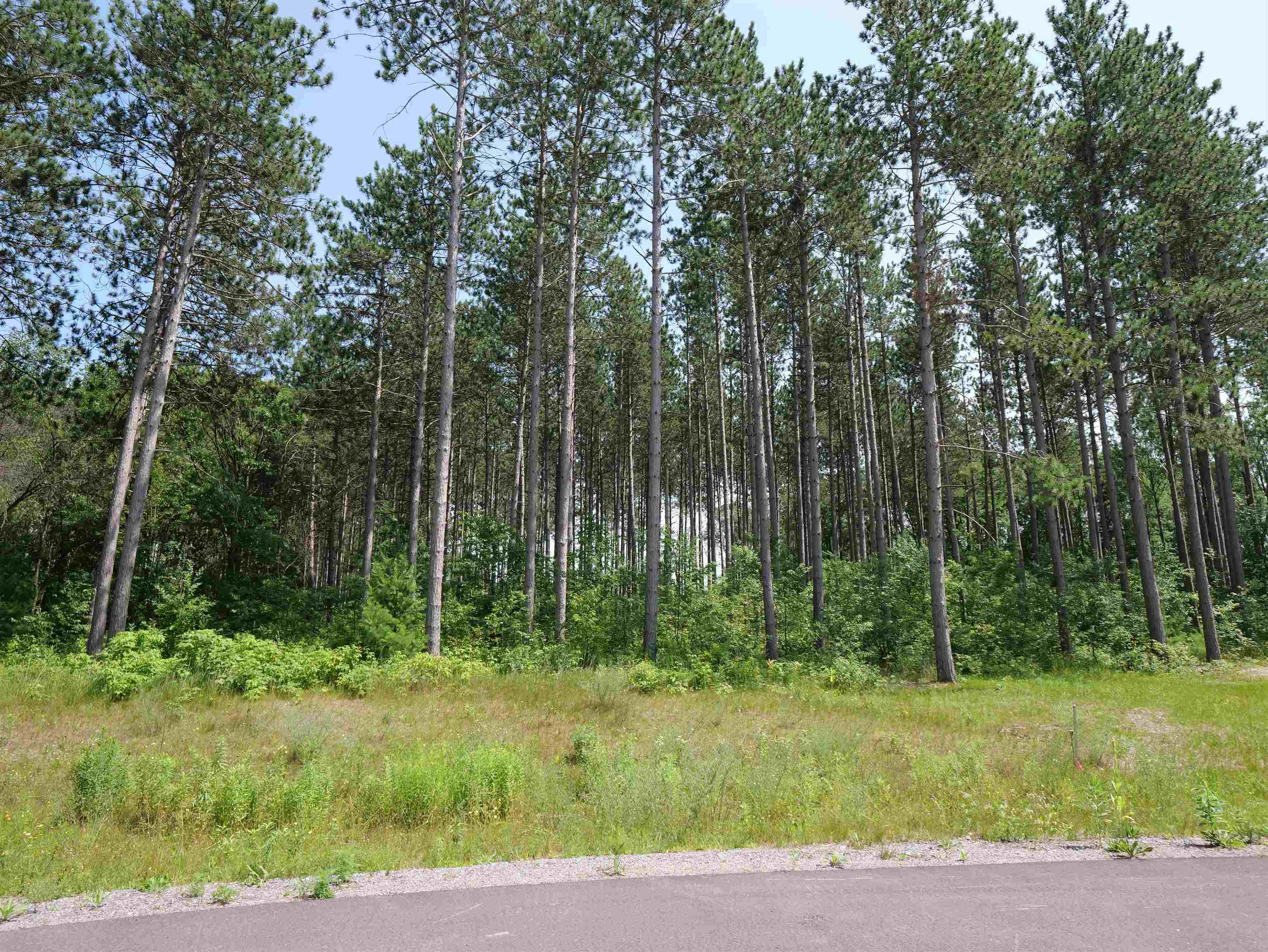 Lot 6 TWO SISTERS COURT, Stevens Point, Wisconsin 54482, ,Land,For Sale,Lot 6 TWO SISTERS COURT,22503210