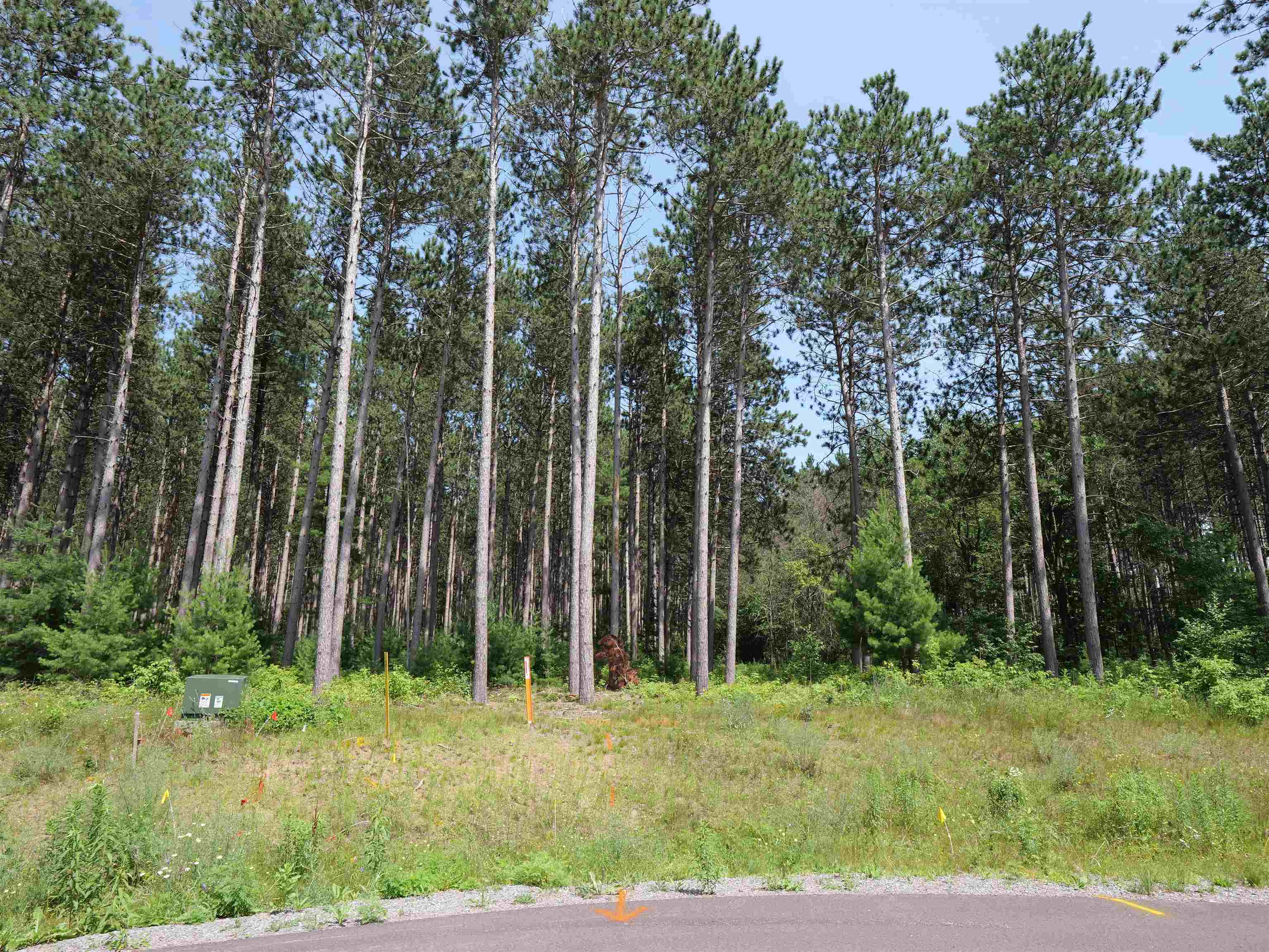 Lot 6 TWO SISTERS COURT, Stevens Point, Wisconsin 54482, ,Land,For Sale,Lot 6 TWO SISTERS COURT,22503210