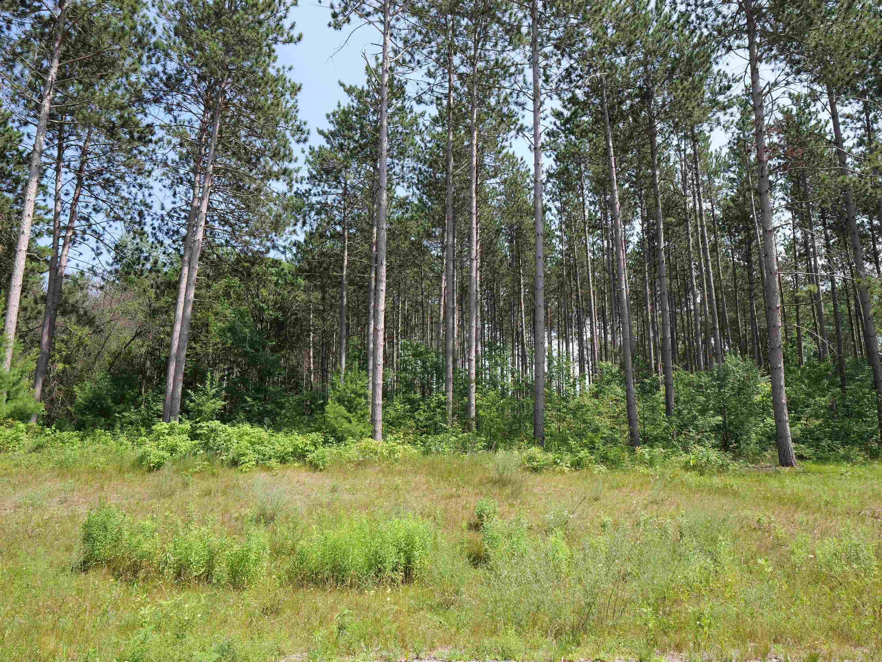 Lot 6 TWO SISTERS COURT, Stevens Point, Wisconsin 54482, ,Land,For Sale,Lot 6 TWO SISTERS COURT,22503210