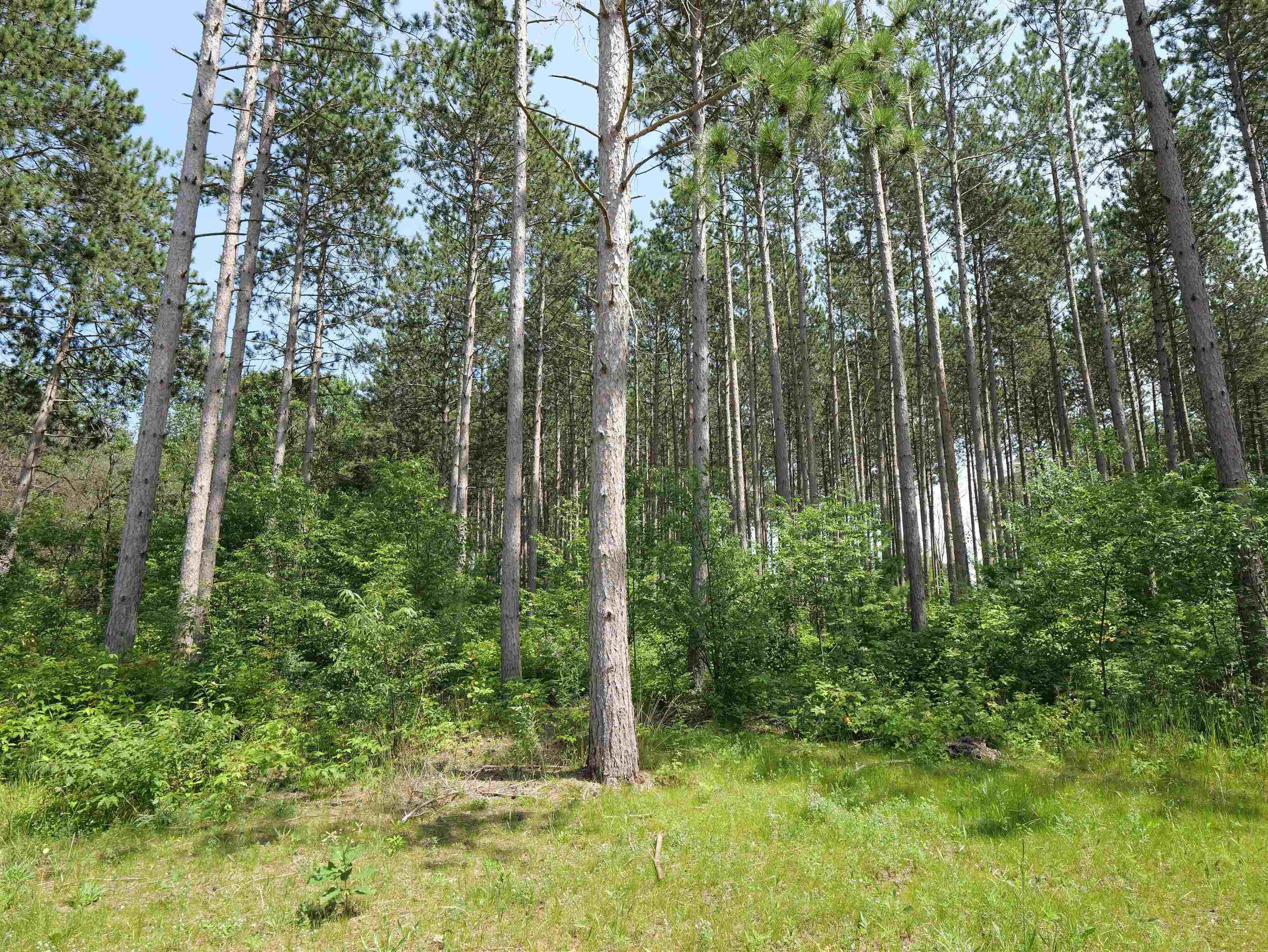 Lot 6 TWO SISTERS COURT, Stevens Point, Wisconsin 54482, ,Land,For Sale,Lot 6 TWO SISTERS COURT,22503210