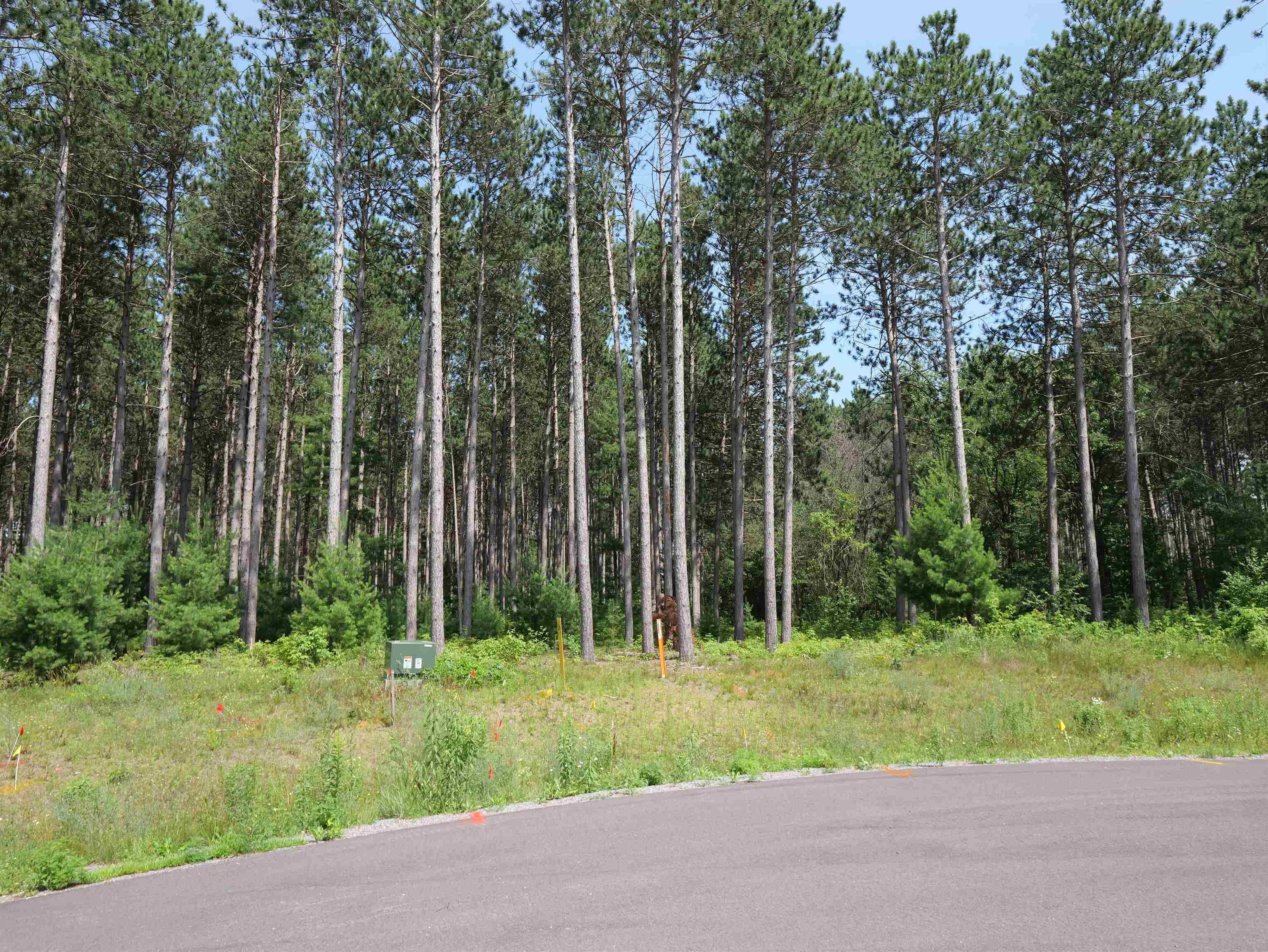 Lot 6 TWO SISTERS COURT, Stevens Point, Wisconsin 54482, ,Land,For Sale,Lot 6 TWO SISTERS COURT,22503210