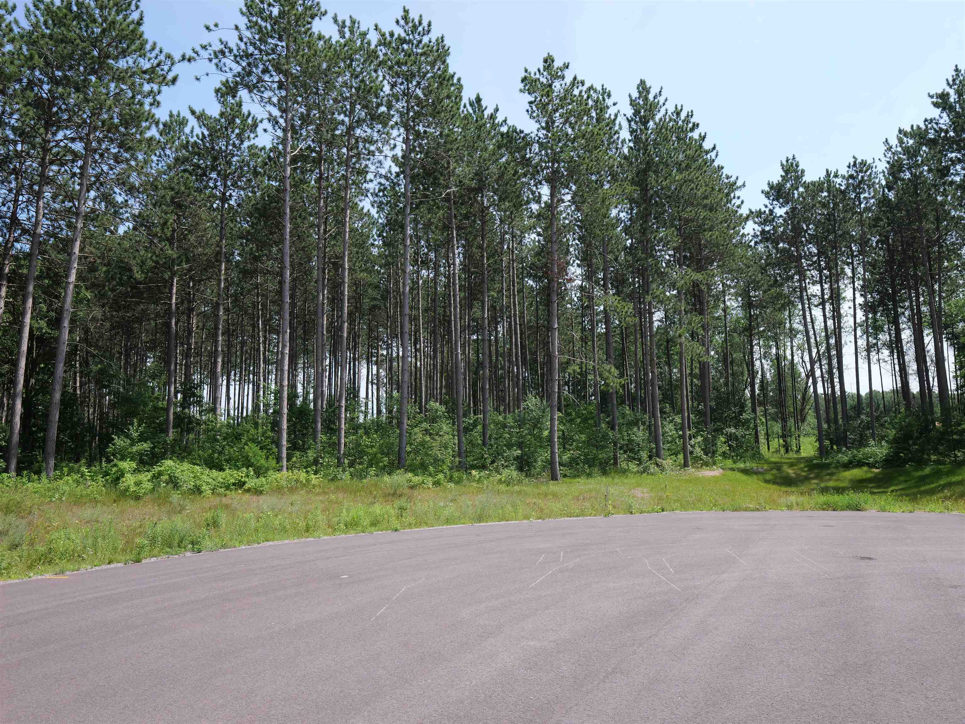 Lot 6 TWO SISTERS COURT, Stevens Point, Wisconsin 54482, ,Land,For Sale,Lot 6 TWO SISTERS COURT,22503210