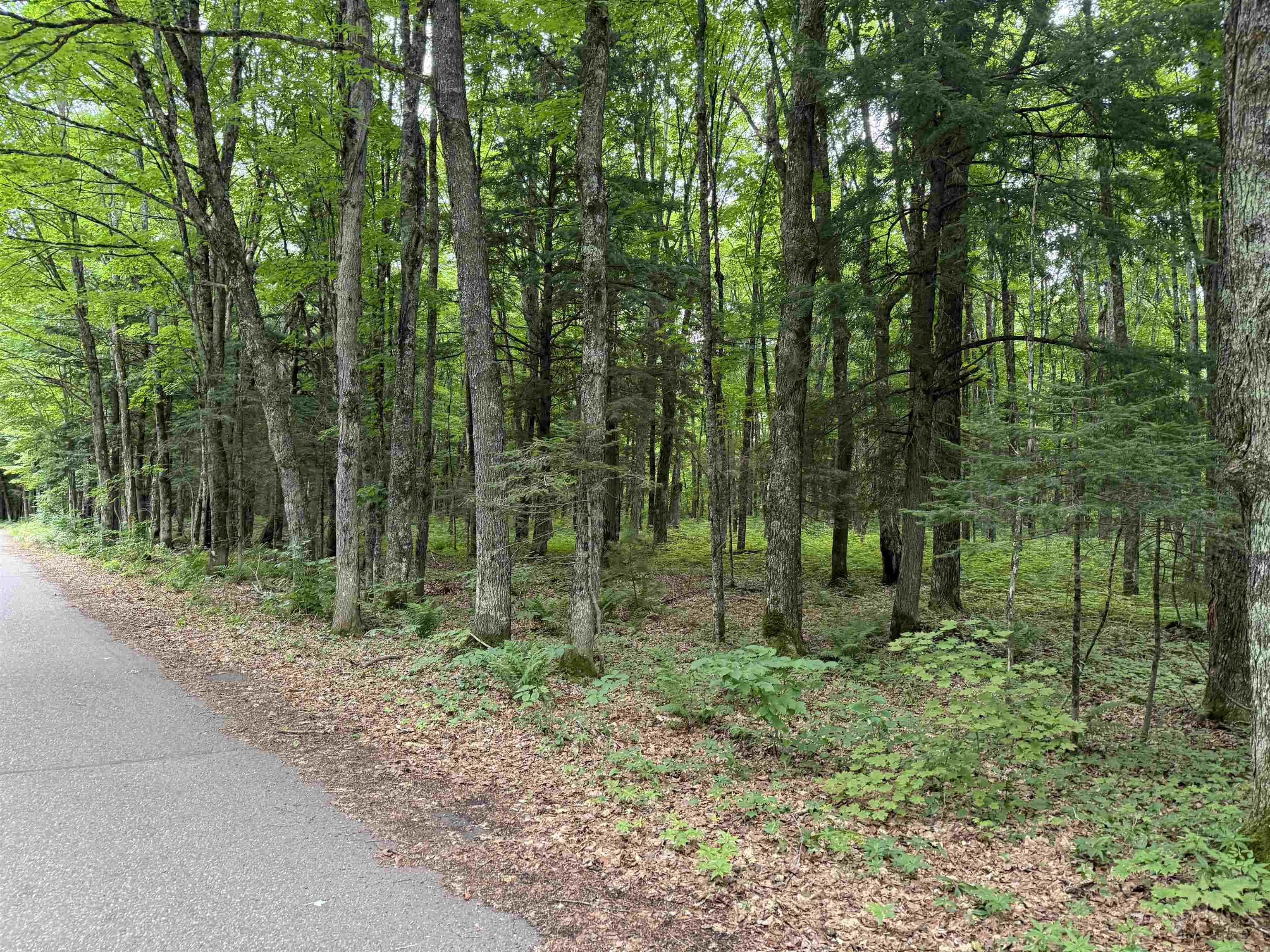 25 A On BEARSKULL ROAD, Park Falls, Wisconsin 54552, ,Land,For Sale,25 A On BEARSKULL ROAD,22503318