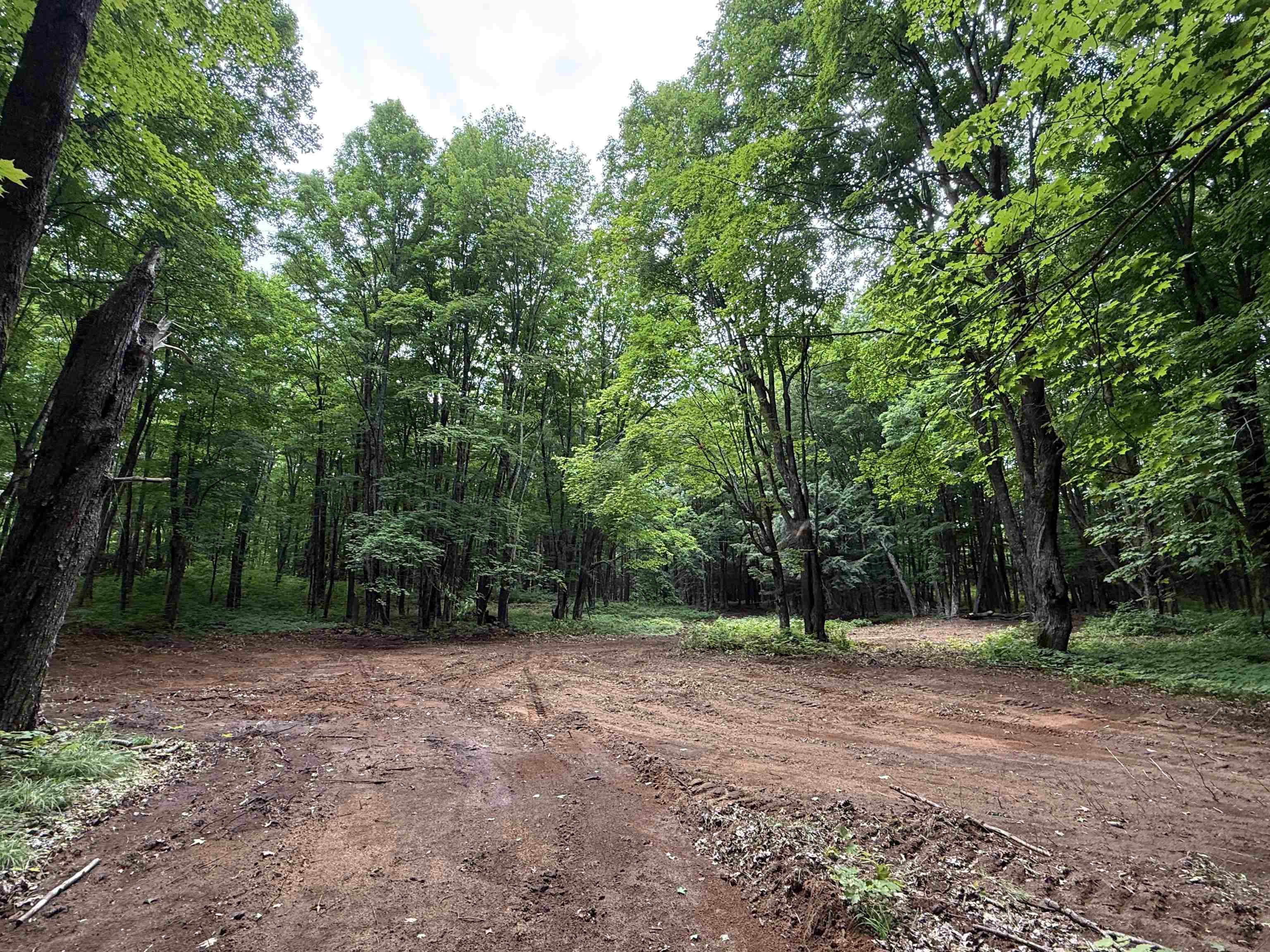 25 A On BEARSKULL ROAD, Park Falls, Wisconsin 54552, ,Land,For Sale,25 A On BEARSKULL ROAD,22503318