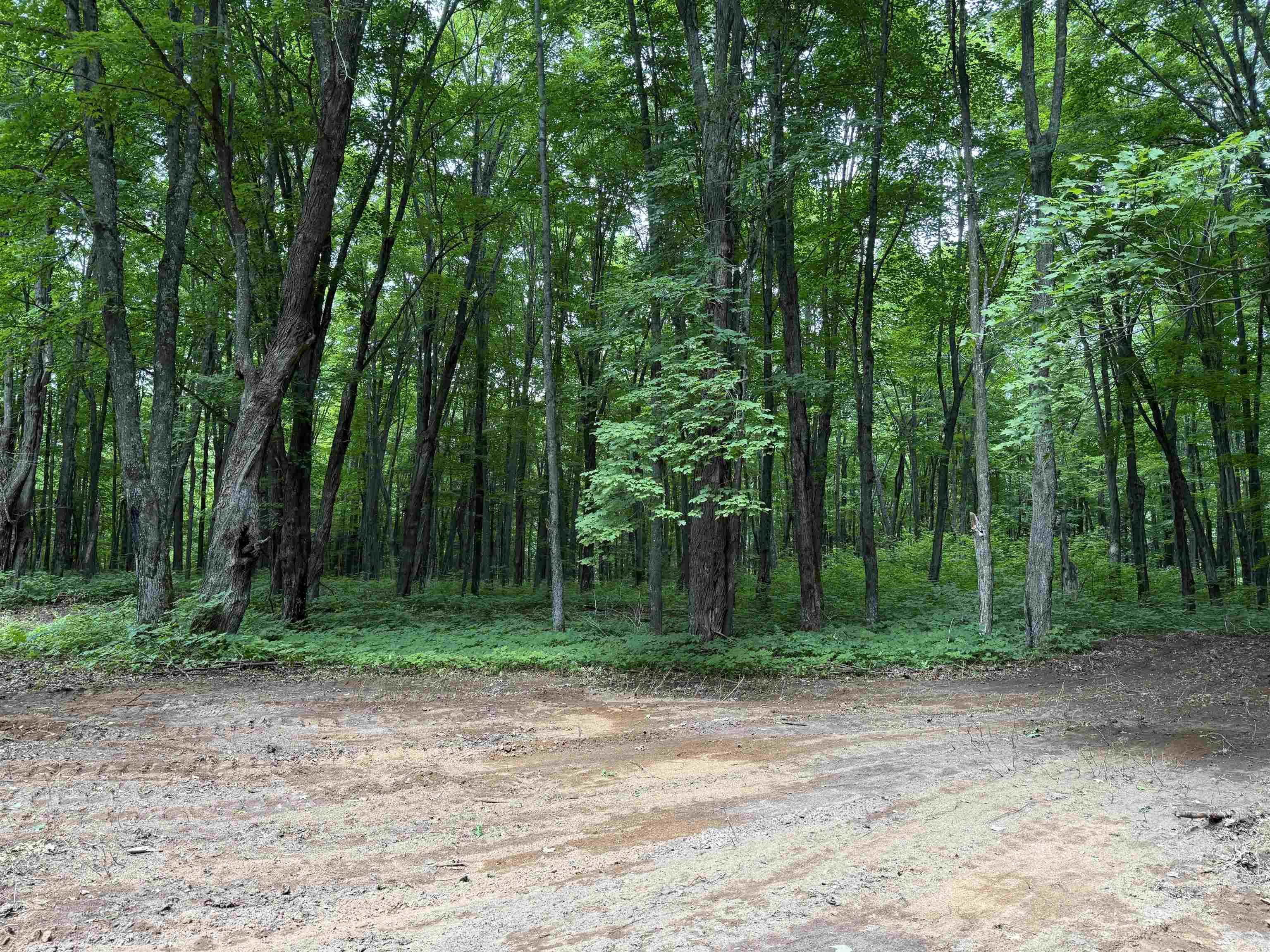 25 A On BEARSKULL ROAD, Park Falls, Wisconsin 54552, ,Land,For Sale,25 A On BEARSKULL ROAD,22503318