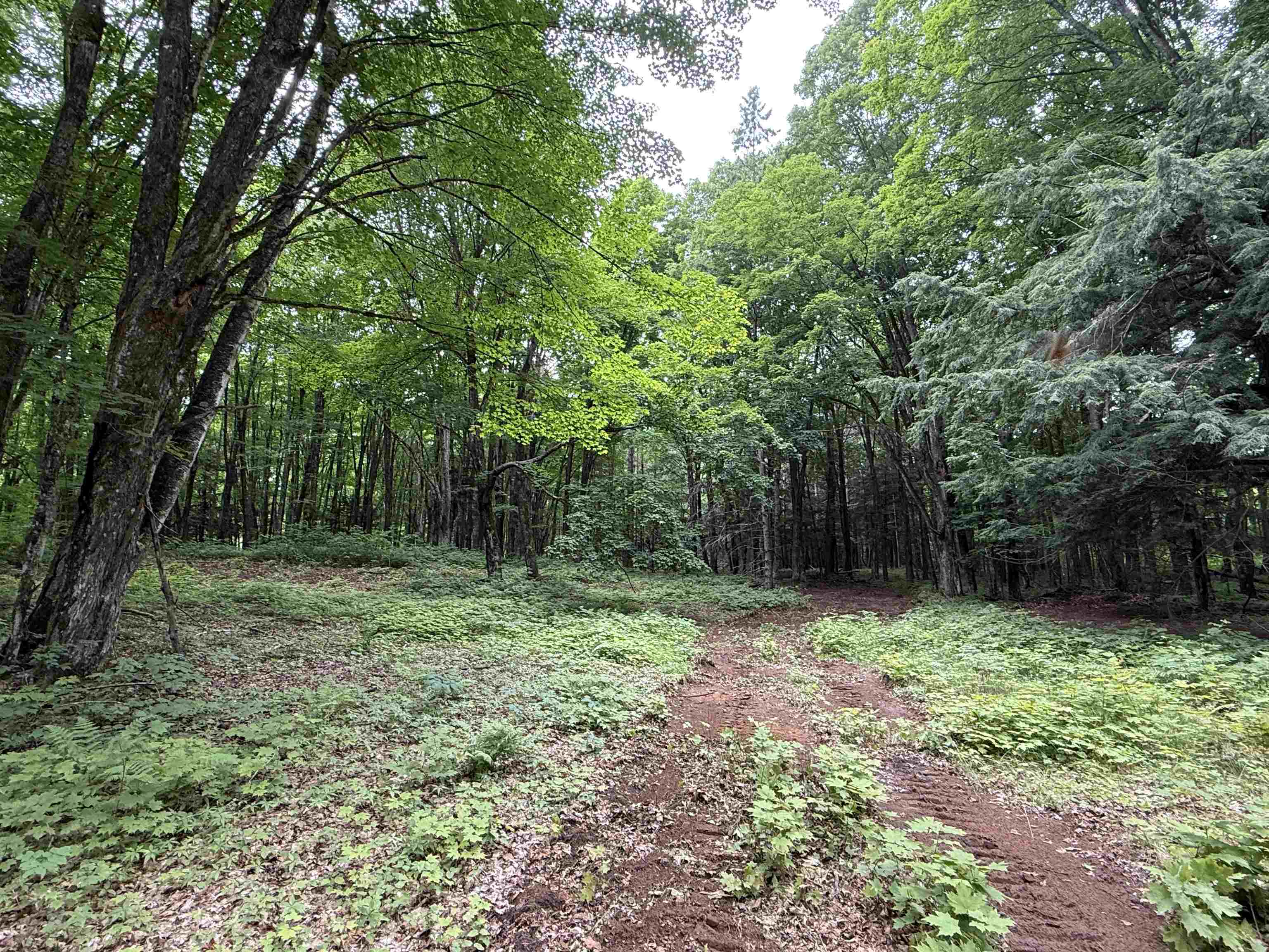 25 A On BEARSKULL ROAD, Park Falls, Wisconsin 54552, ,Land,For Sale,25 A On BEARSKULL ROAD,22503318