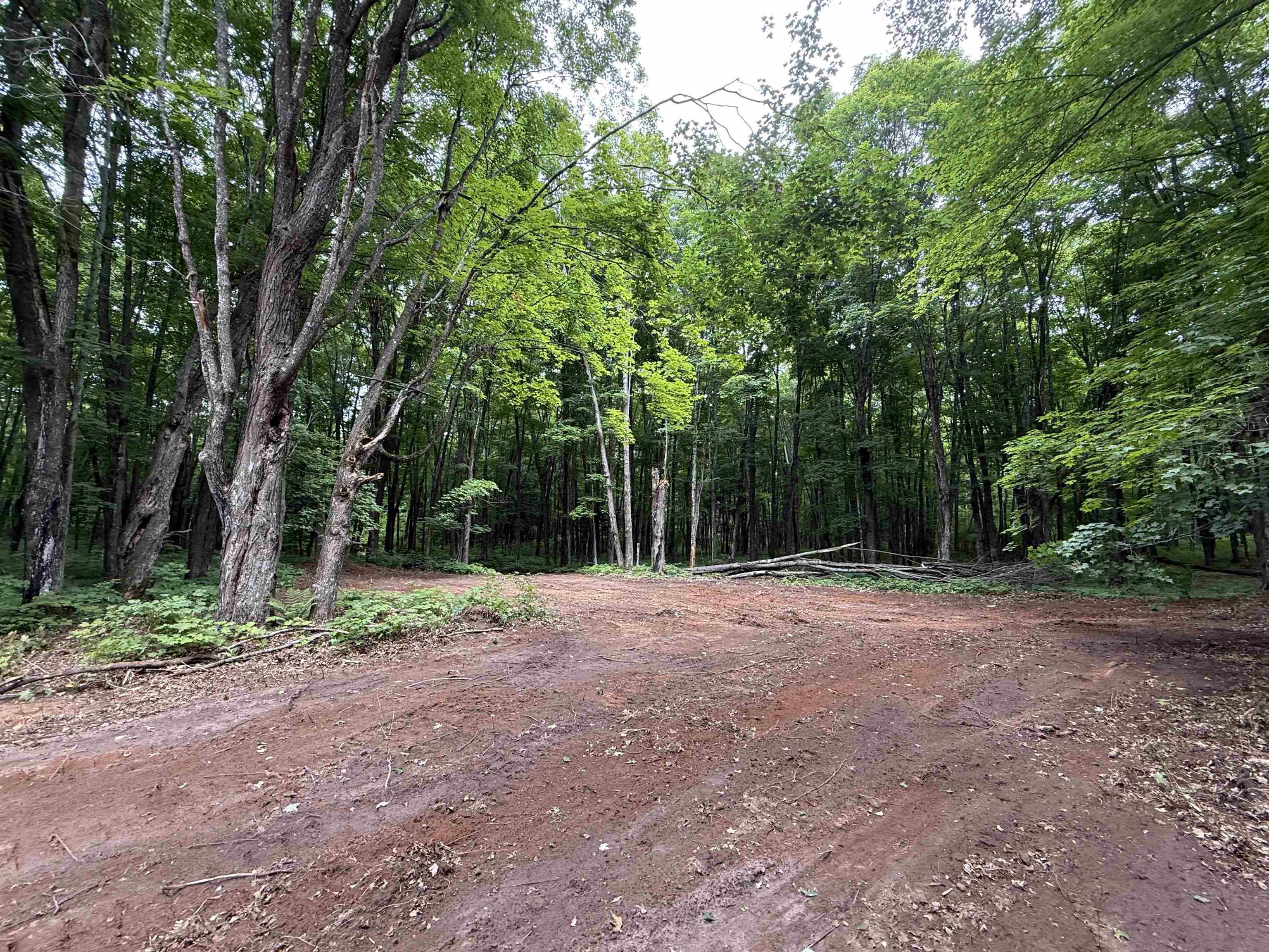 25 A On BEARSKULL ROAD, Park Falls, Wisconsin 54552, ,Land,For Sale,25 A On BEARSKULL ROAD,22503318
