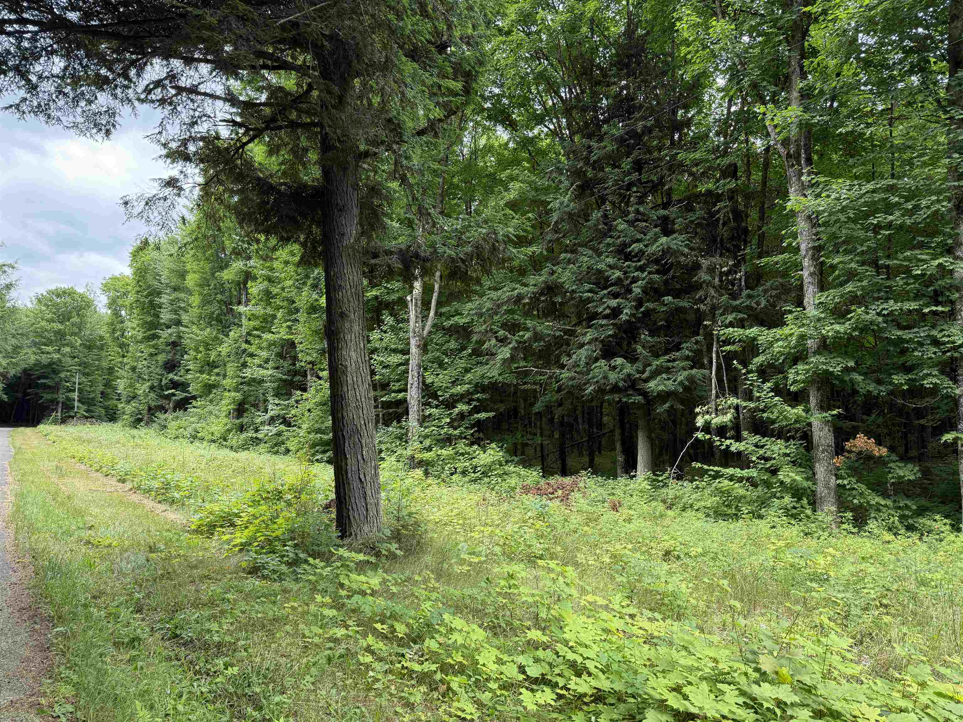 25 A On BEARSKULL ROAD, Park Falls, Wisconsin 54552, ,Land,For Sale,25 A On BEARSKULL ROAD,22503318
