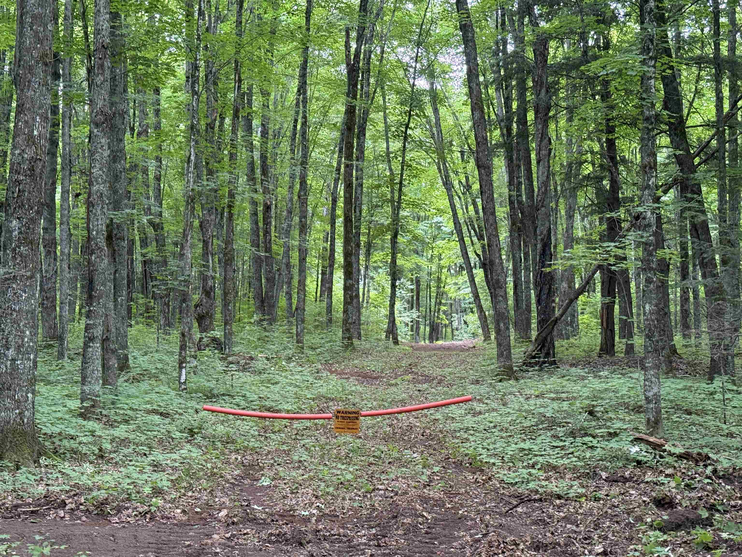 25 A On BEARSKULL ROAD, Park Falls, Wisconsin 54552, ,Land,For Sale,25 A On BEARSKULL ROAD,22503318