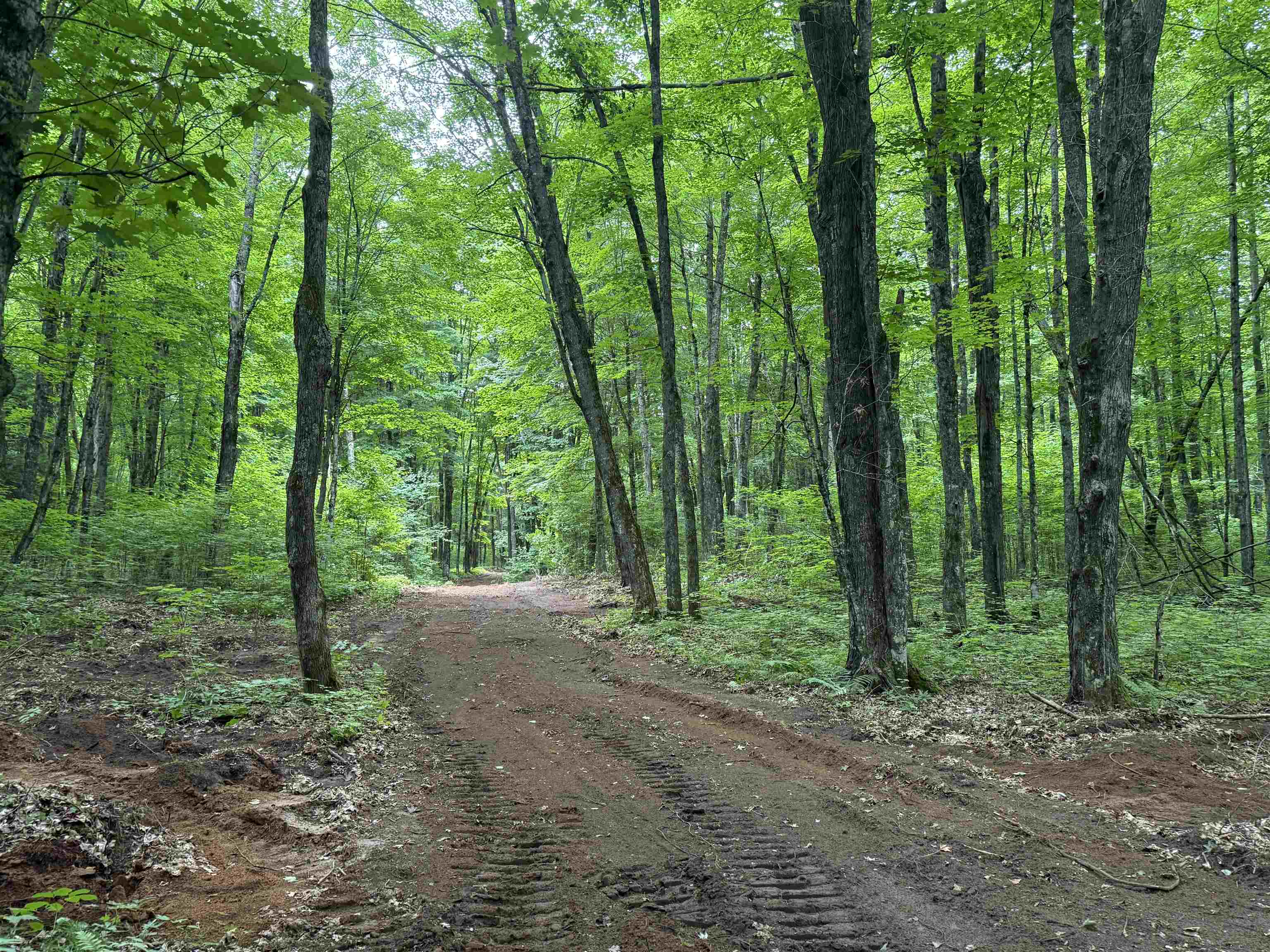 25 A On BEARSKULL ROAD, Park Falls, Wisconsin 54552, ,Land,For Sale,25 A On BEARSKULL ROAD,22503318