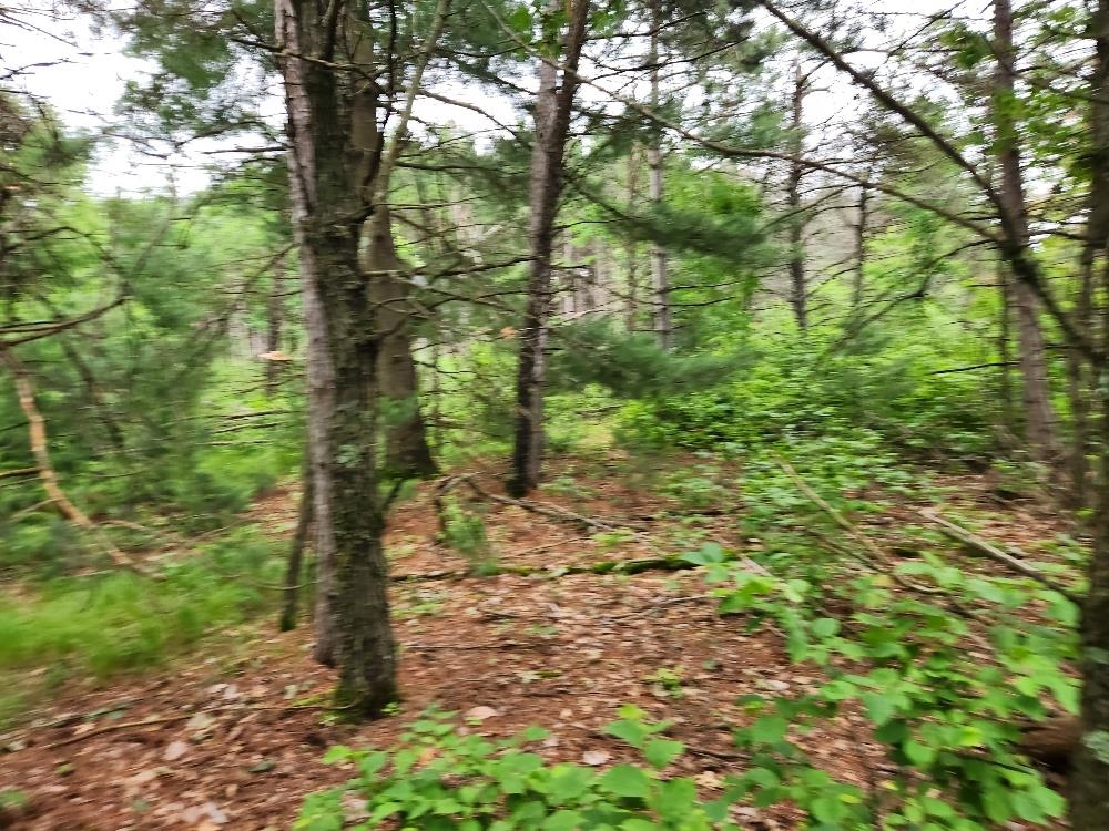 W3190 4TH STREET EAST, Nekoosa, Wisconsin 54457, ,Land,For Sale,W3190 4TH STREET EAST,22503370