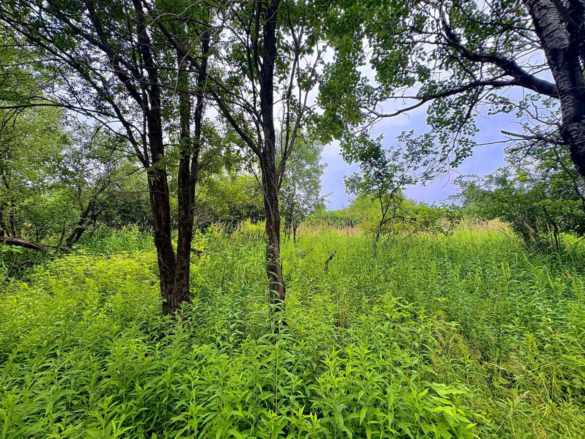 403 THURSTON ROAD, Glidden, Wisconsin 54527, 3 Bedrooms Bedrooms, ,1 BathroomBathrooms,Residential,For Sale,403 THURSTON ROAD,22503437