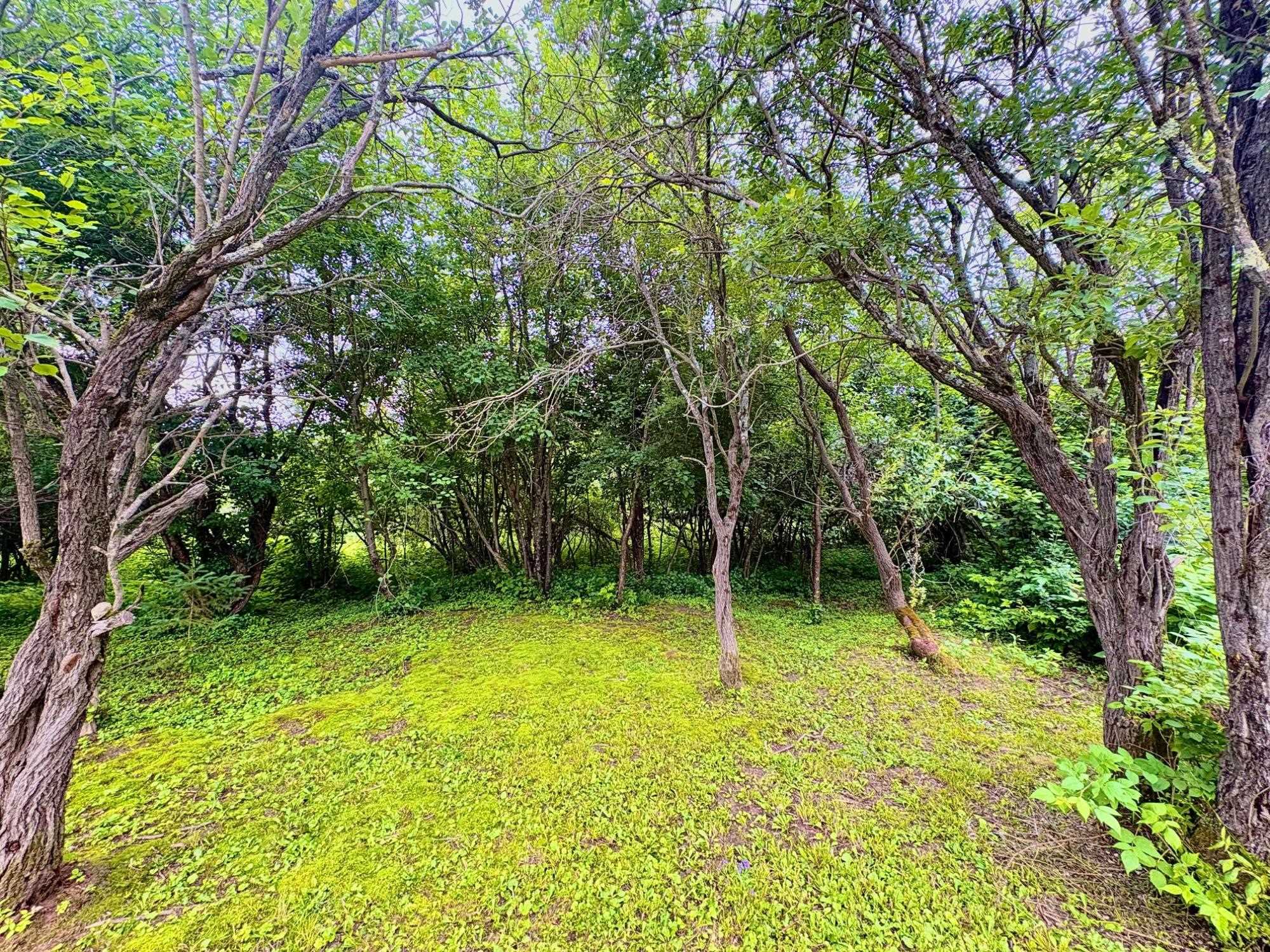 403 THURSTON ROAD, Glidden, Wisconsin 54527, 3 Bedrooms Bedrooms, ,1 BathroomBathrooms,Residential,For Sale,403 THURSTON ROAD,22503437