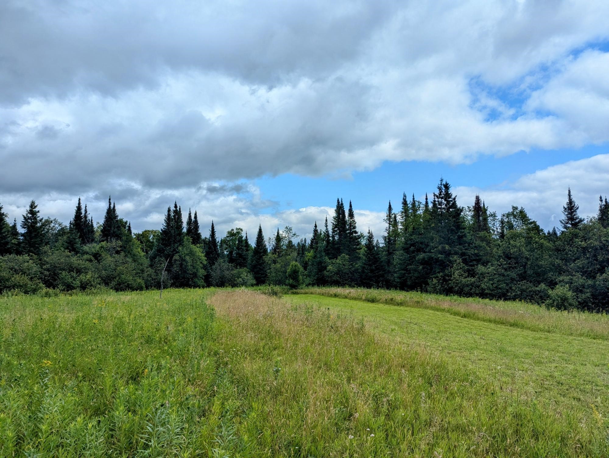 25598 HIGHWAY 13, Glidden, Wisconsin 54527, 3 Bedrooms Bedrooms, ,1 BathroomBathrooms,Residential,For Sale,25598 HIGHWAY 13,22503569