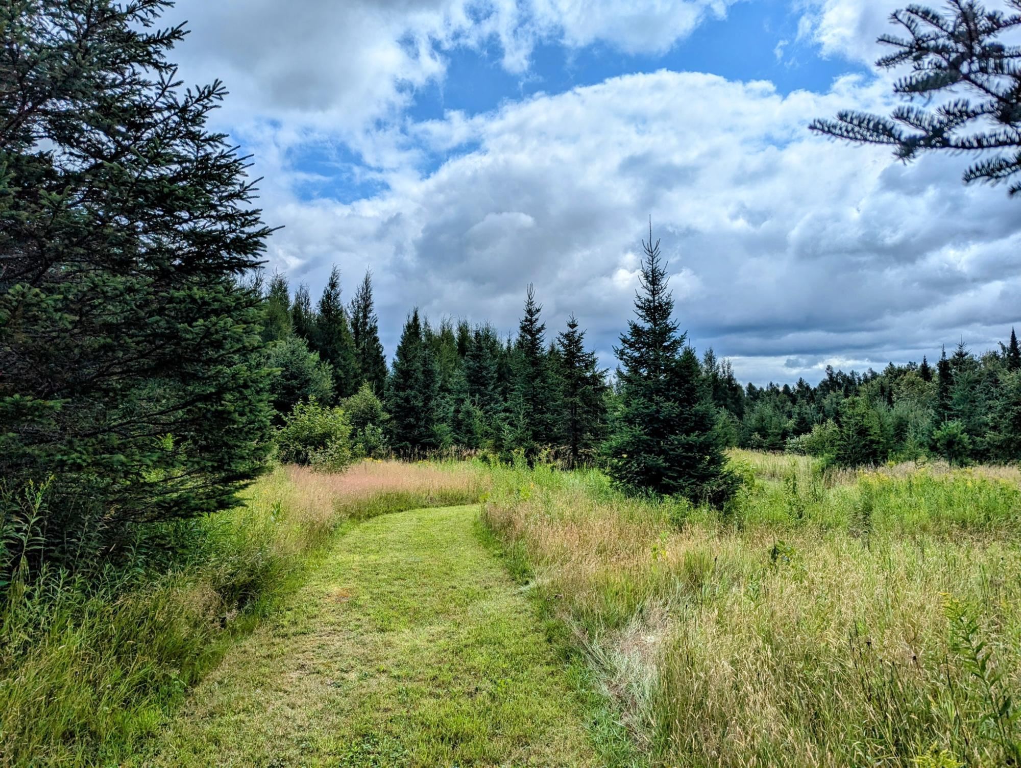 25598 HIGHWAY 13, Glidden, Wisconsin 54527, 3 Bedrooms Bedrooms, ,1 BathroomBathrooms,Residential,For Sale,25598 HIGHWAY 13,22503569