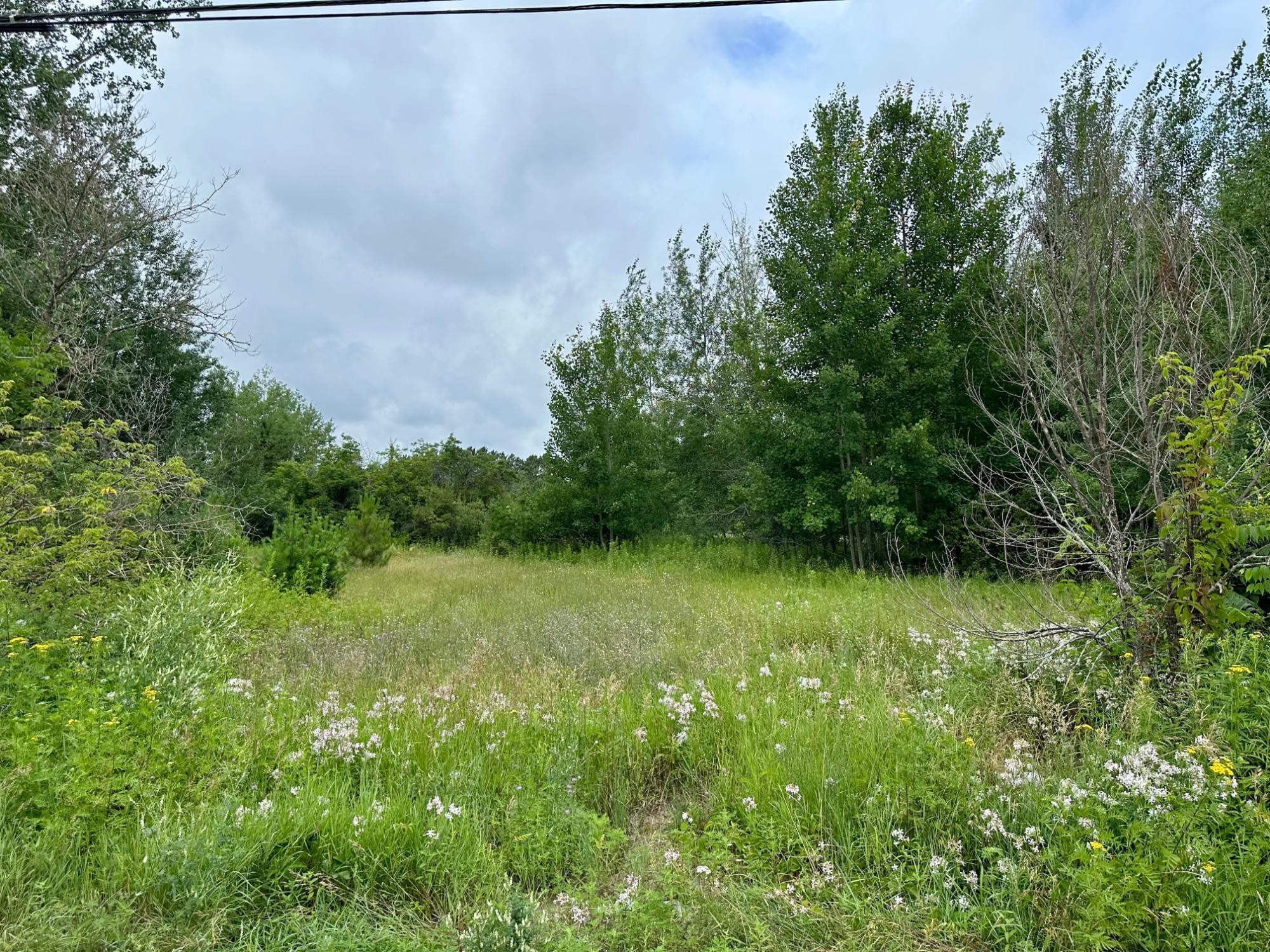 Lots 1-6 N RAILWAY STREET, Tomahawk, Wisconsin 54487, ,Commercial/industrial,For Sale,Lots 1-6 N RAILWAY STREET,22503577