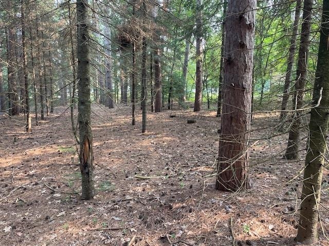 Lot 2 PLANTATION LANE, Kronenwetter, Wisconsin 54455, ,Land,For Sale,Lot 2 PLANTATION LANE,22503659