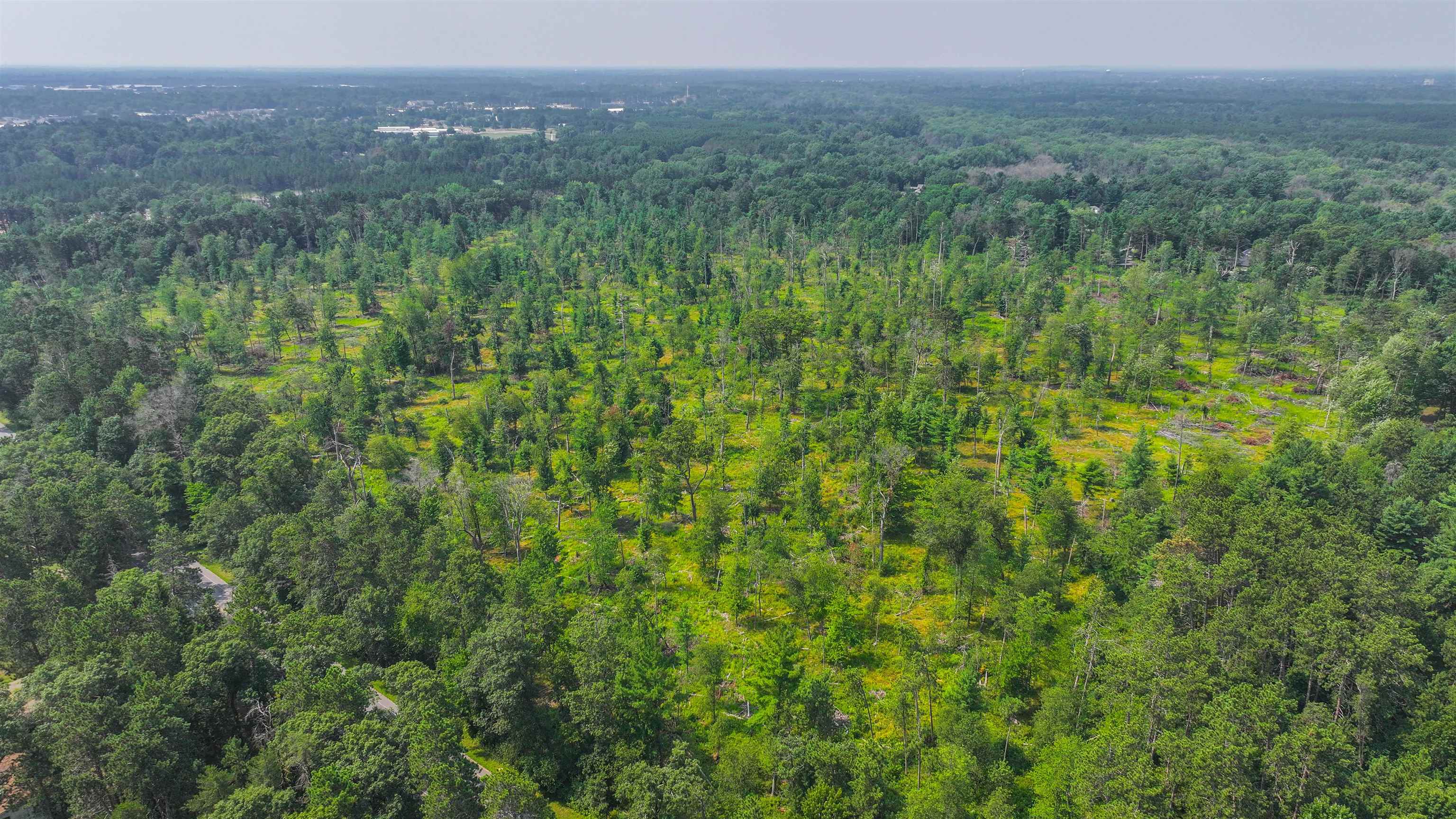 44.59 Acres BRILOWSKI ROAD, Stevens Point, Wisconsin 54481, ,Land,For Sale,44.59 Acres BRILOWSKI ROAD,22503715