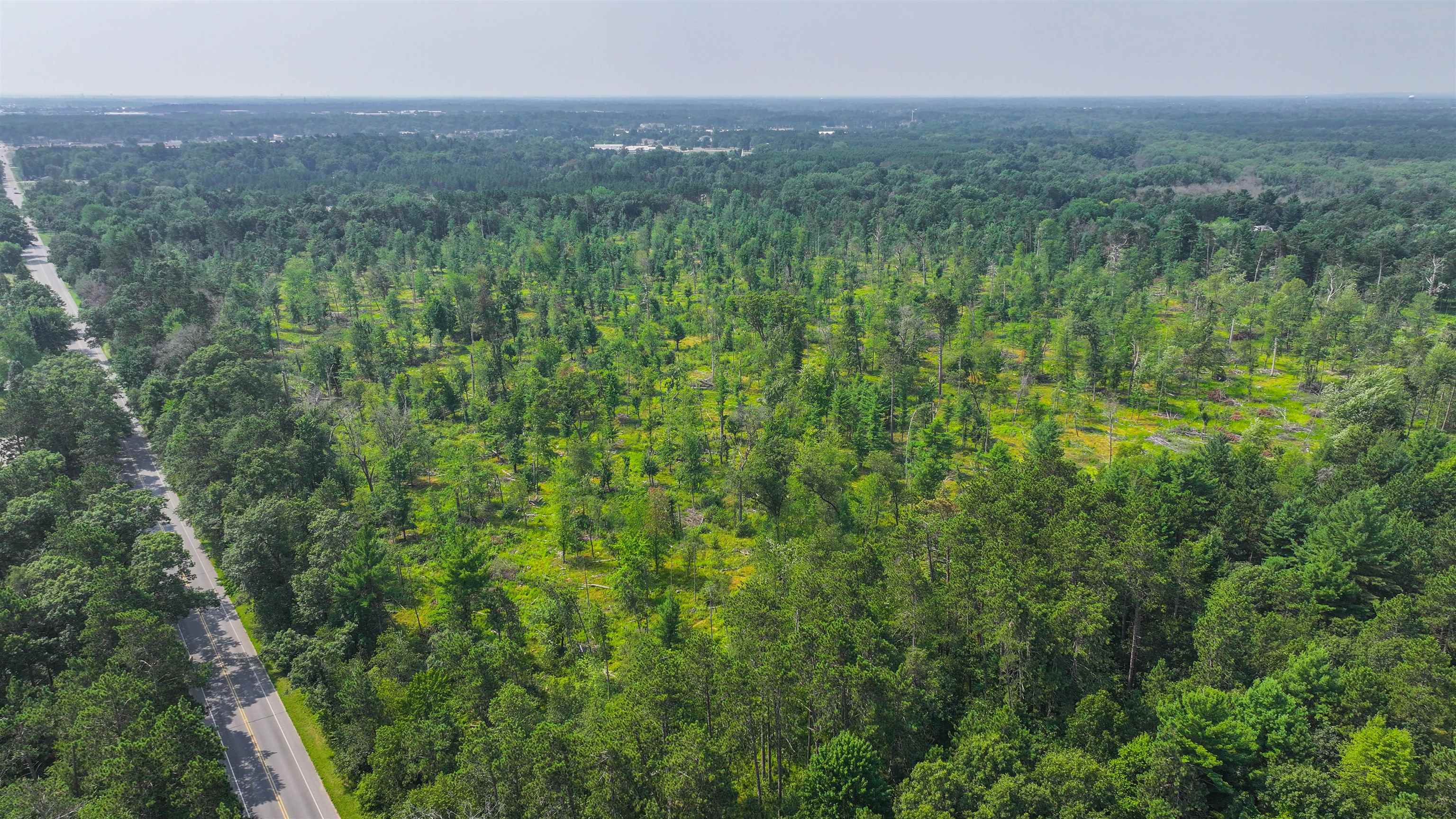 44.59 Acres BRILOWSKI ROAD, Stevens Point, Wisconsin 54481, ,Land,For Sale,44.59 Acres BRILOWSKI ROAD,22503715