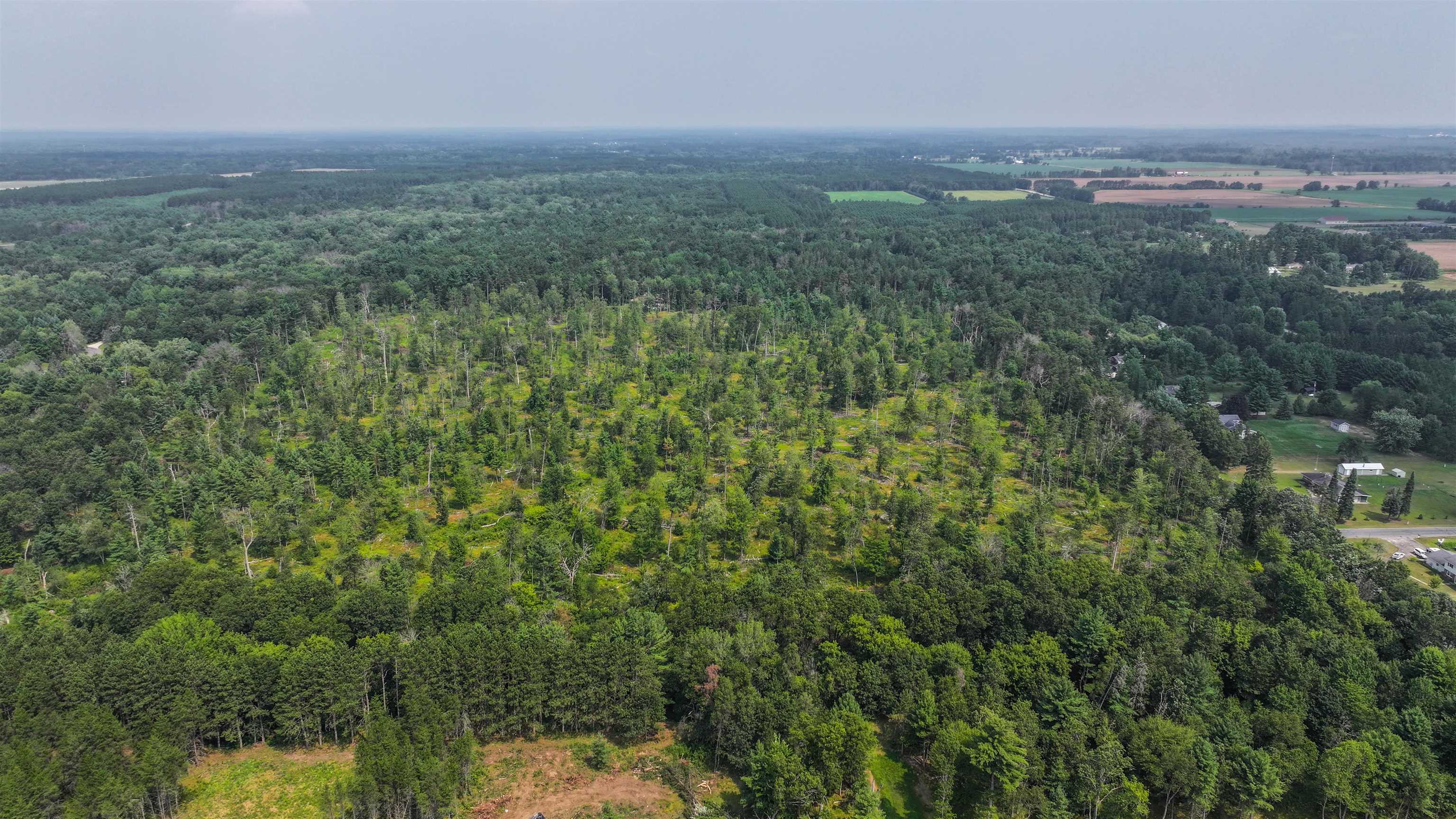 44.59 Acres BRILOWSKI ROAD, Stevens Point, Wisconsin 54481, ,Land,For Sale,44.59 Acres BRILOWSKI ROAD,22503715