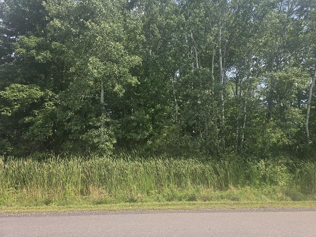 10758 W 9TH STREET, Hewitt, Wisconsin 54441, ,Land,For Sale,10758 W 9TH STREET,22503861