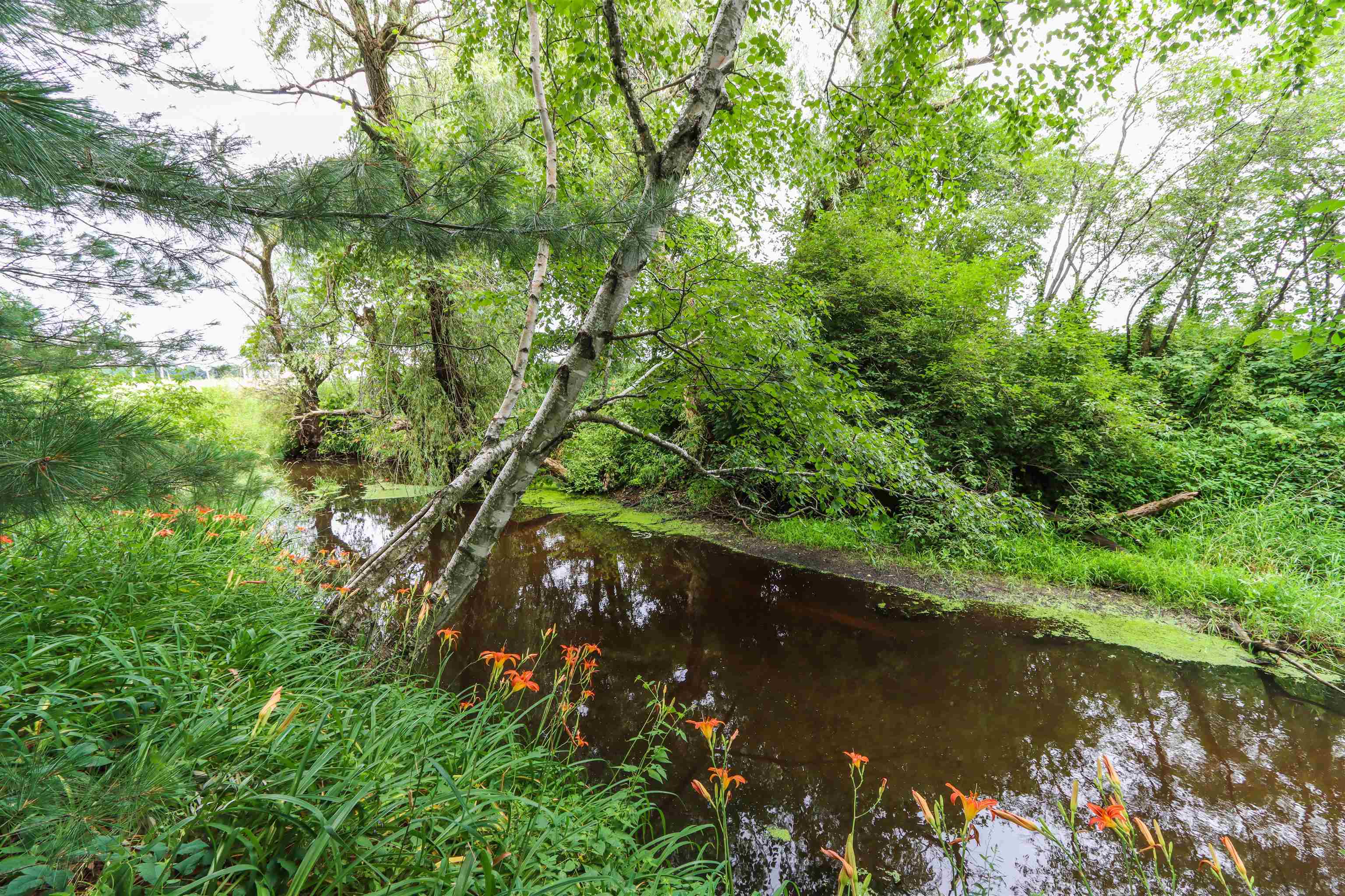 9621 COUNTY ROAD F, Bancroft, Wisconsin 54921, 3 Bedrooms Bedrooms, ,2 BathroomsBathrooms,Residential,For Sale,9621 COUNTY ROAD F,22503913