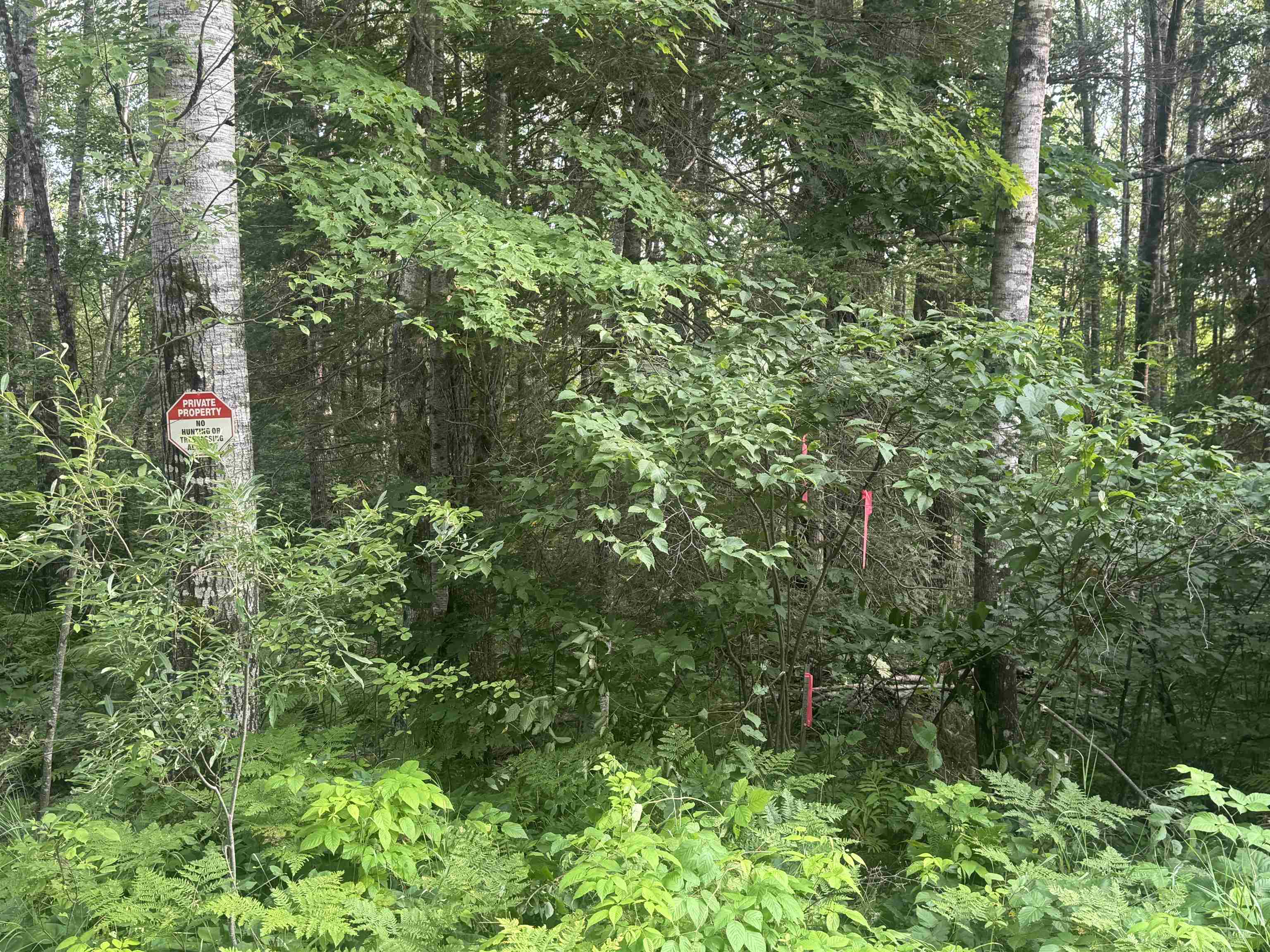 ON SCHALLOCK ROAD, Crandon, Wisconsin 54520, ,Land,For Sale,ON SCHALLOCK ROAD,22503947