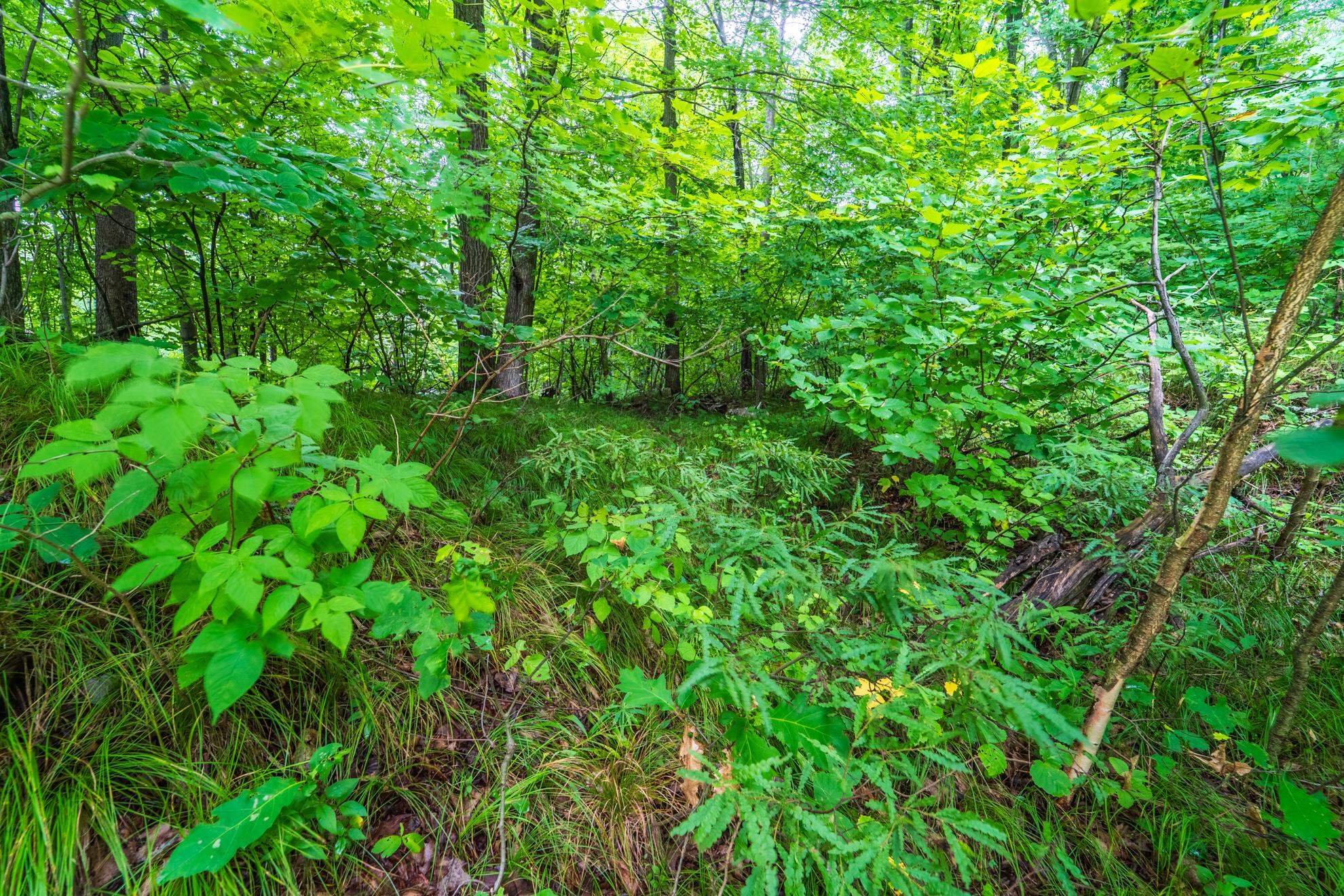 1.47 acres STONECROP ROAD, Wausau, Wisconsin 54401, ,Land,For Sale,1.47 acres STONECROP ROAD,22503962