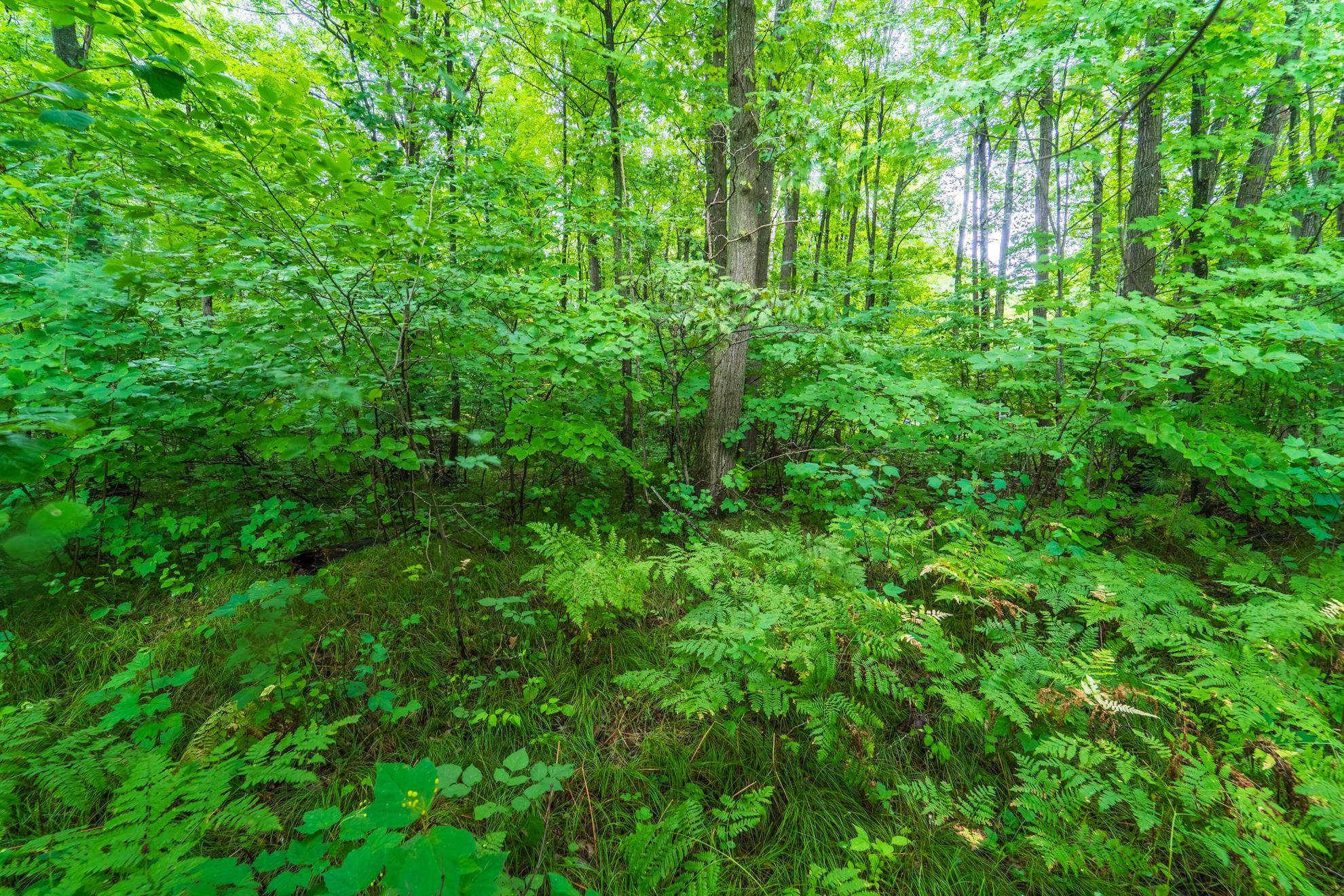 1.47 acres STONECROP ROAD, Wausau, Wisconsin 54401, ,Land,For Sale,1.47 acres STONECROP ROAD,22503962