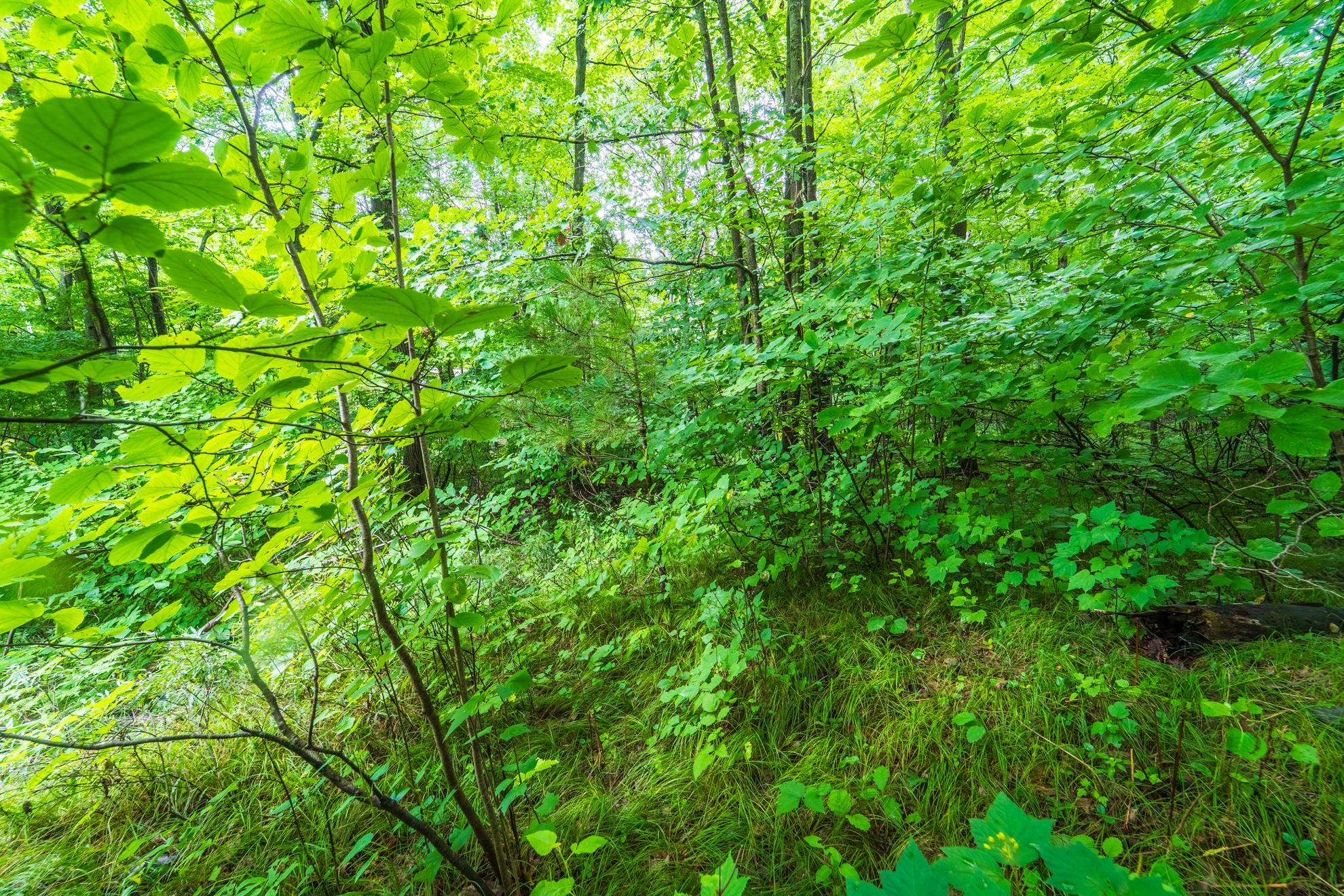 1.47 acres STONECROP ROAD, Wausau, Wisconsin 54401, ,Land,For Sale,1.47 acres STONECROP ROAD,22503962