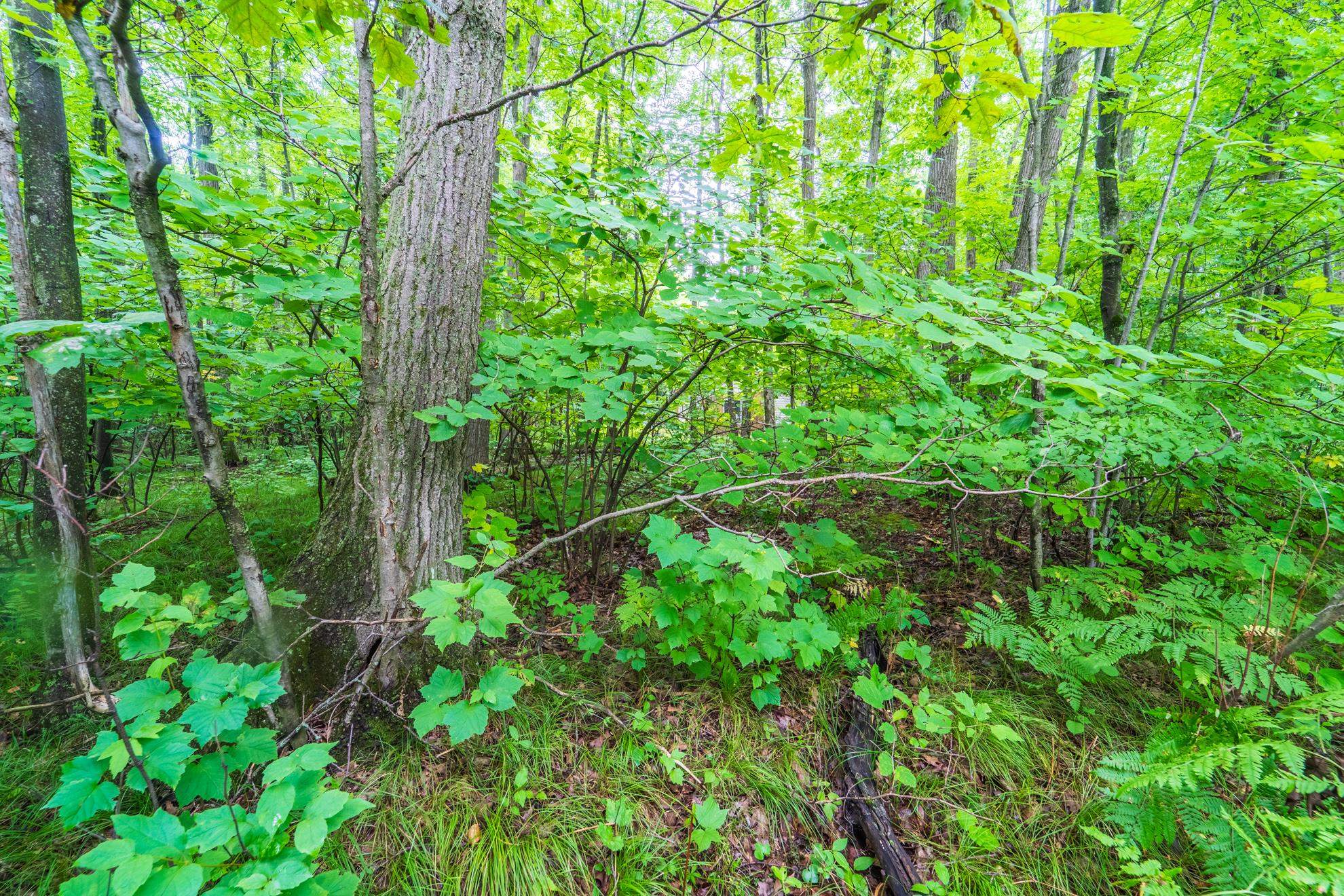 1.47 acres STONECROP ROAD, Wausau, Wisconsin 54401, ,Land,For Sale,1.47 acres STONECROP ROAD,22503962