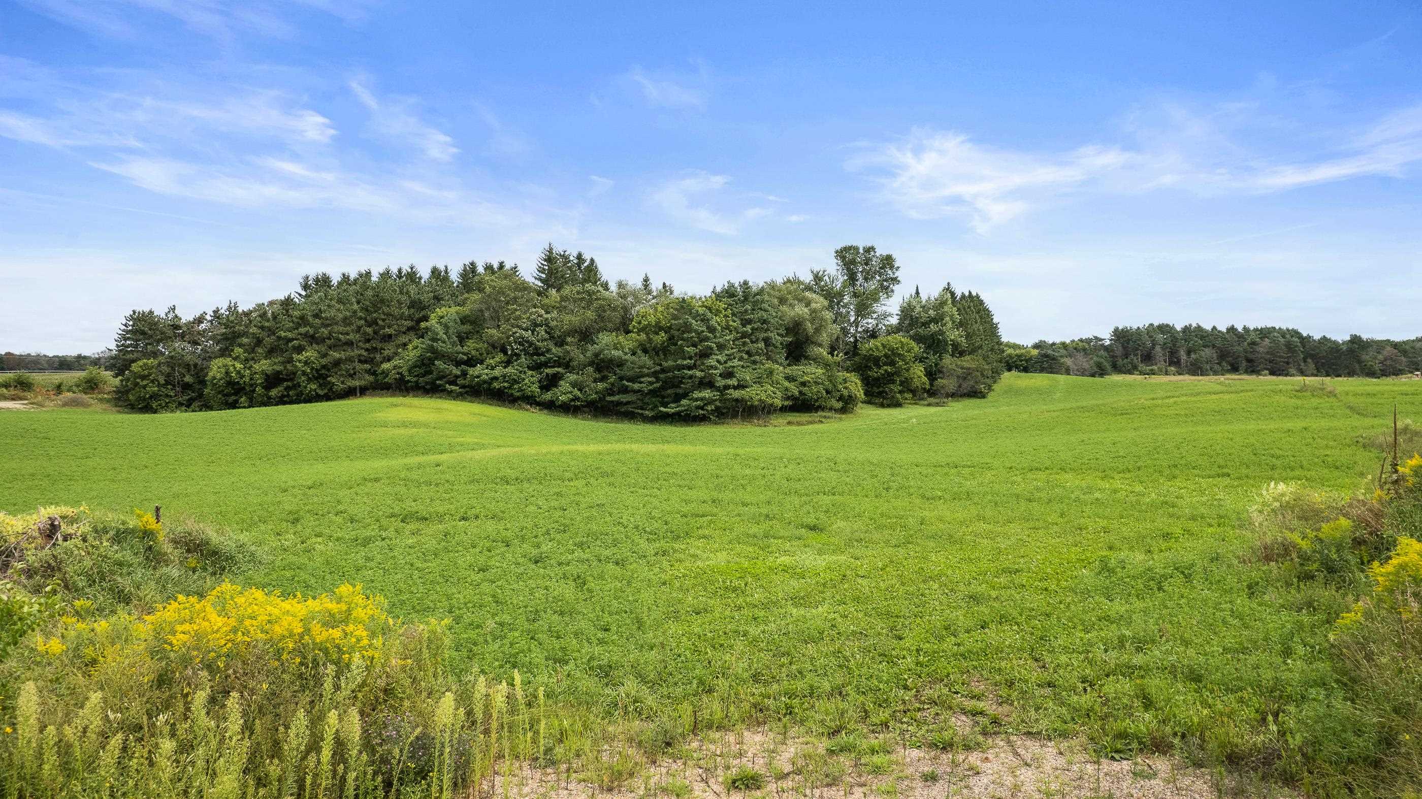 1333 LEGENDS LANE, Custer, Wisconsin 54423, ,Land,For Sale,1333 LEGENDS LANE,22504014