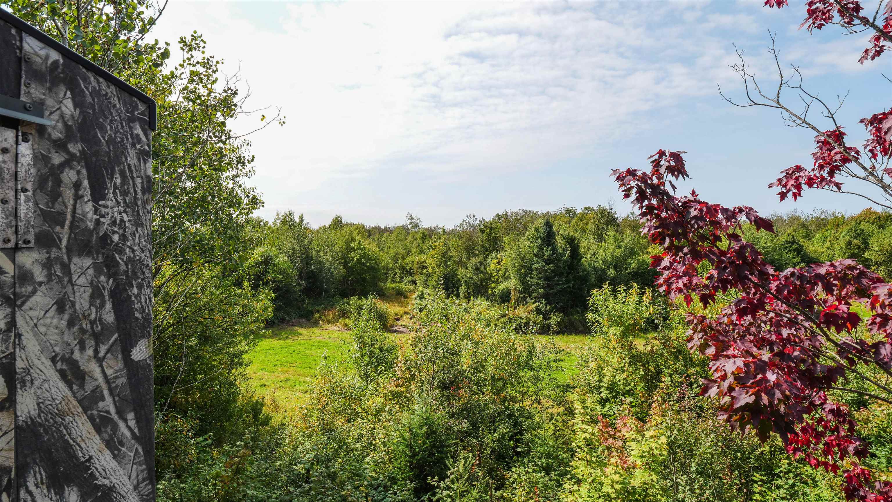 N9417 COUNTY ROAD H, Gleason, Wisconsin 54435, 3 Bedrooms Bedrooms, ,3 BathroomsBathrooms,Residential,For Sale,N9417 COUNTY ROAD H,22504316