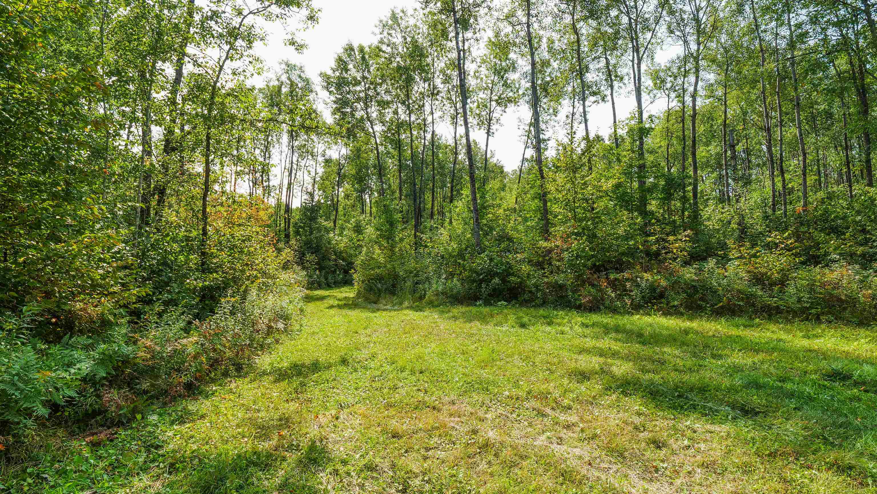 N9417 COUNTY ROAD H, Gleason, Wisconsin 54435, 3 Bedrooms Bedrooms, ,3 BathroomsBathrooms,Residential,For Sale,N9417 COUNTY ROAD H,22504316