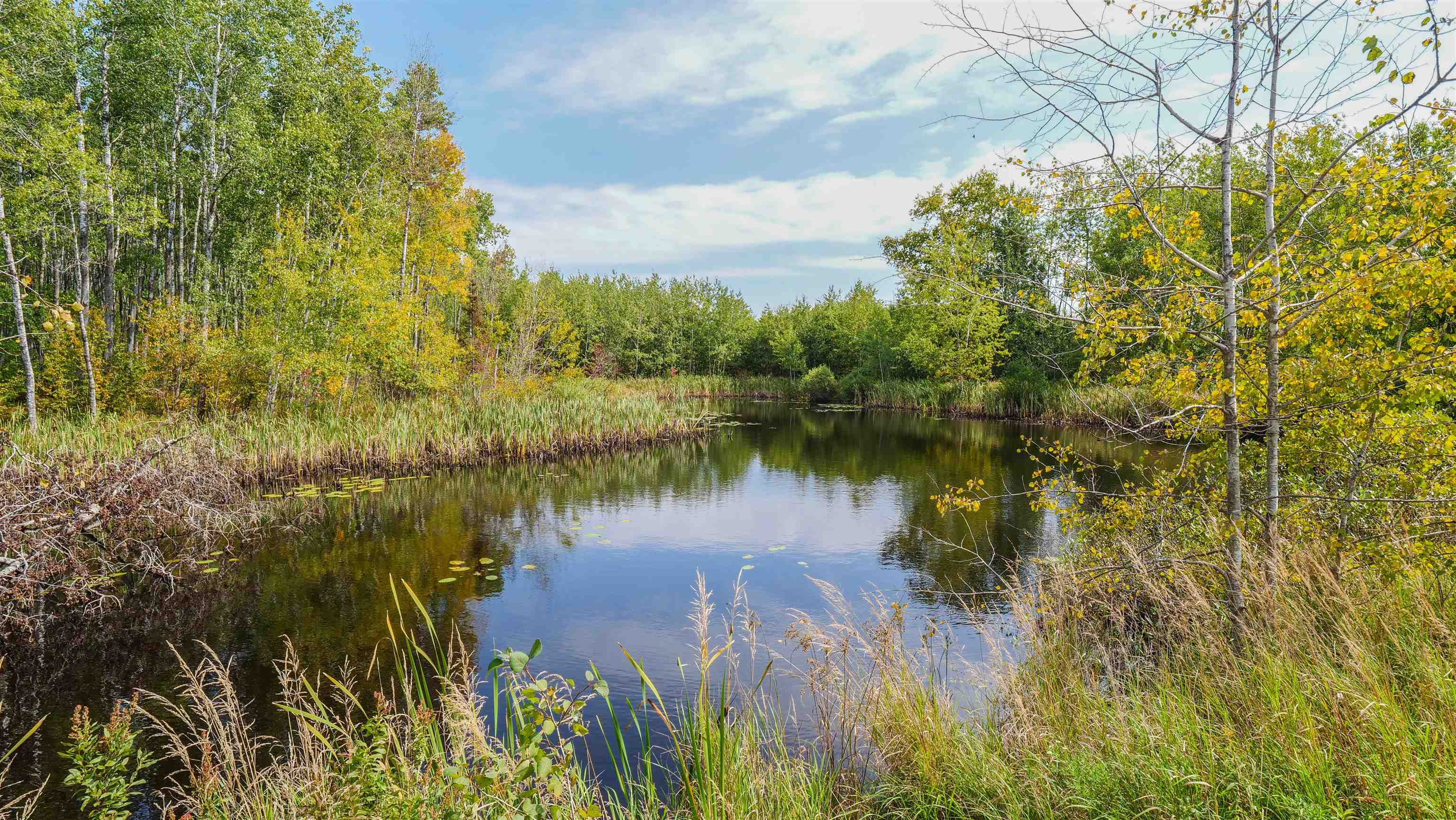 N9417 COUNTY ROAD H, Gleason, Wisconsin 54435, 3 Bedrooms Bedrooms, ,3 BathroomsBathrooms,Residential,For Sale,N9417 COUNTY ROAD H,22504316