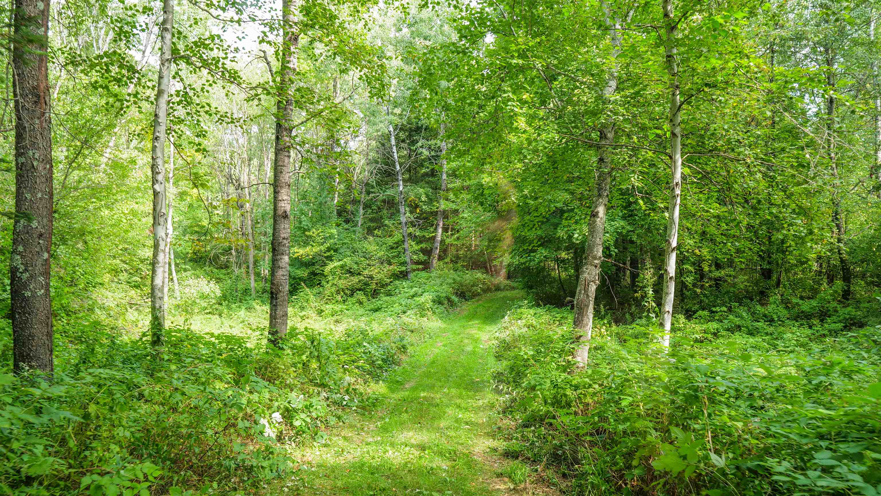 N9417 COUNTY ROAD H, Gleason, Wisconsin 54435, 3 Bedrooms Bedrooms, ,3 BathroomsBathrooms,Residential,For Sale,N9417 COUNTY ROAD H,22504316