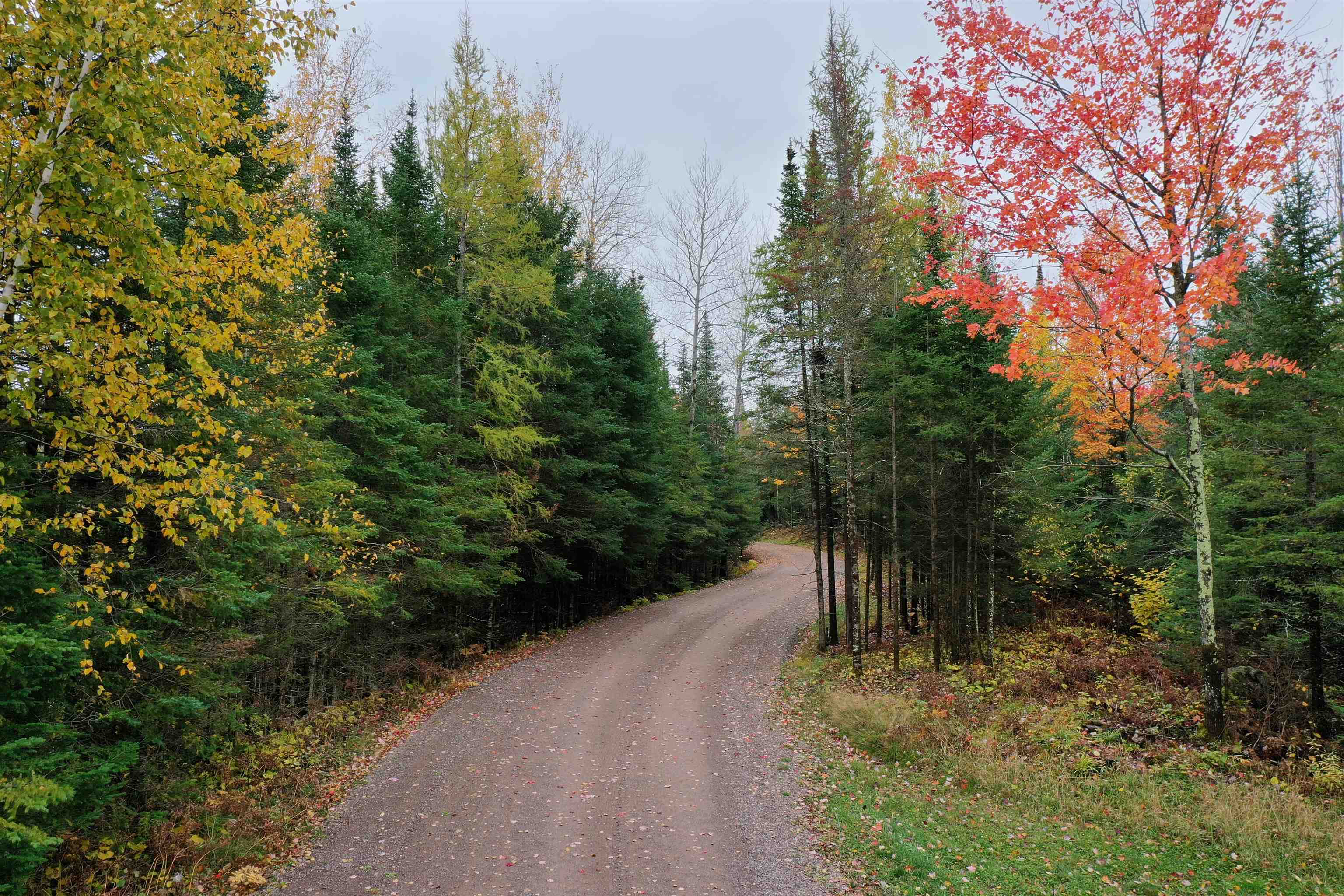 W6306 HILLCREST ROAD, Medford, Wisconsin 54451, 1 Bedroom Bedrooms, ,1 BathroomBathrooms,Residential,For Sale,W6306 HILLCREST ROAD,22504417