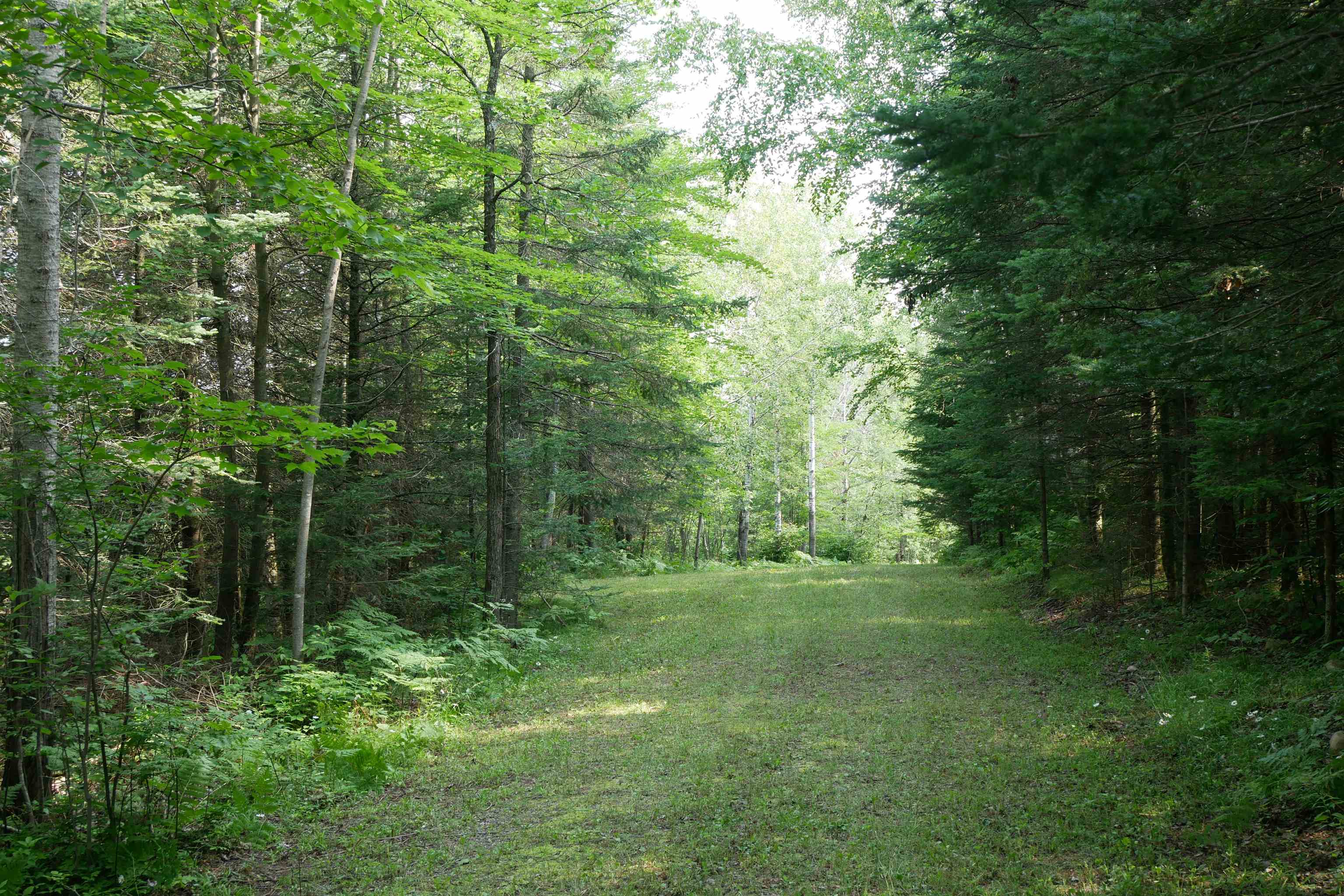 W6306 HILLCREST ROAD, Medford, Wisconsin 54451, 1 Bedroom Bedrooms, ,1 BathroomBathrooms,Residential,For Sale,W6306 HILLCREST ROAD,22504417