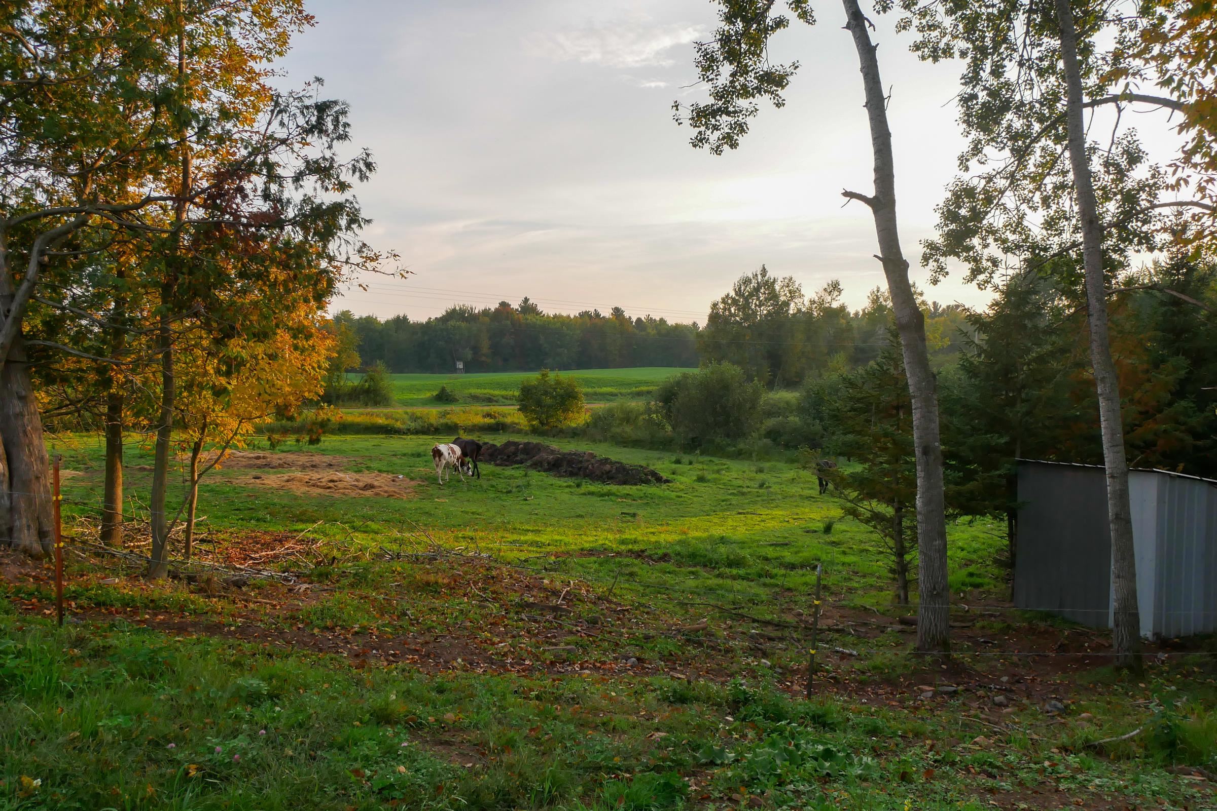 N423 9TH AVENUE, Lublin, Wisconsin 54447, 2 Bedrooms Bedrooms, ,1 BathroomBathrooms,Residential,For Sale,N423 9TH AVENUE,22504431