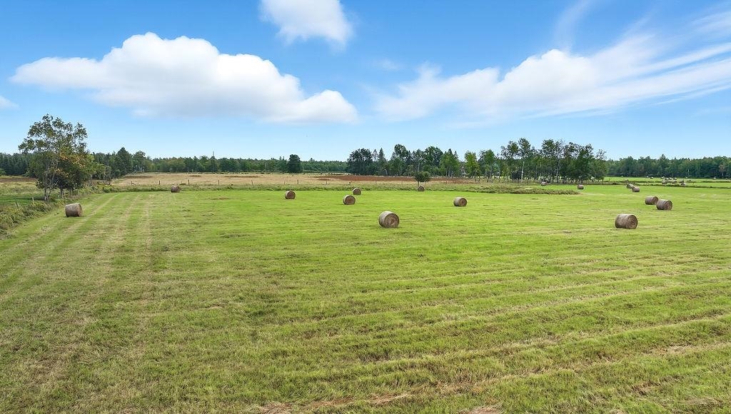 000 TEN CROSSING ROAD, Ogema, Wisconsin 54459, ,Land,For Sale,000 TEN CROSSING ROAD,22504451