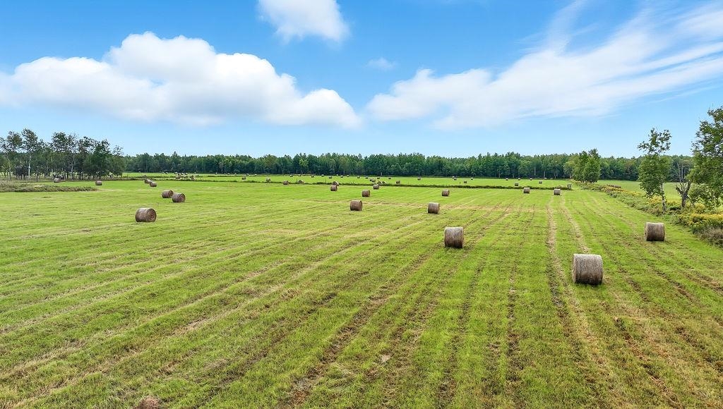 000 TEN CROSSING ROAD, Ogema, Wisconsin 54459, ,Land,For Sale,000 TEN CROSSING ROAD,22504451