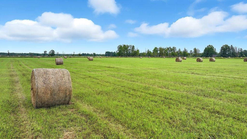 000 TEN CROSSING ROAD, Ogema, Wisconsin 54459, ,Land,For Sale,000 TEN CROSSING ROAD,22504451