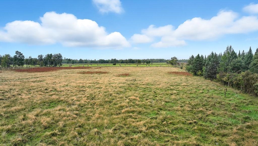 000 TEN CROSSING ROAD, Ogema, Wisconsin 54459, ,Land,For Sale,000 TEN CROSSING ROAD,22504451