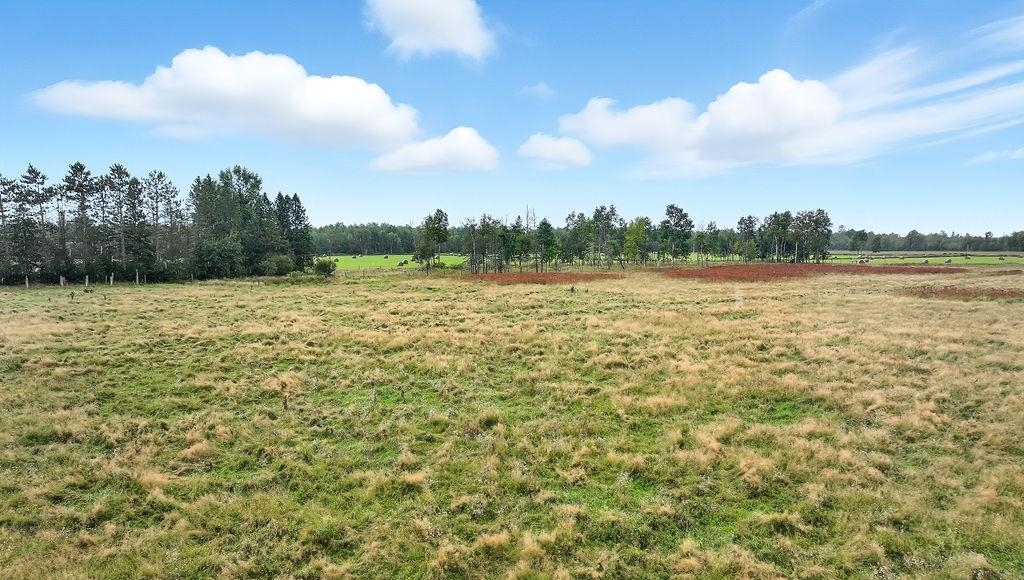 000 TEN CROSSING ROAD, Ogema, Wisconsin 54459, ,Land,For Sale,000 TEN CROSSING ROAD,22504451