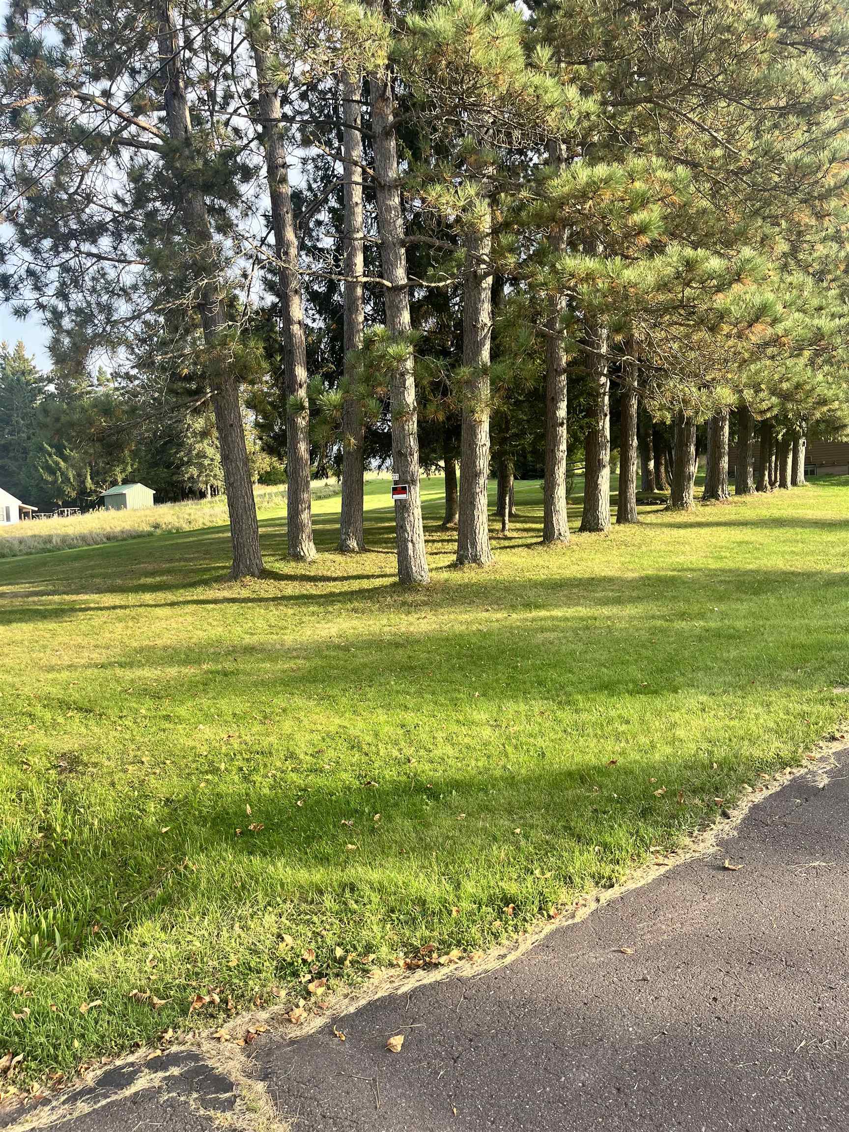 233 W Layman Drive