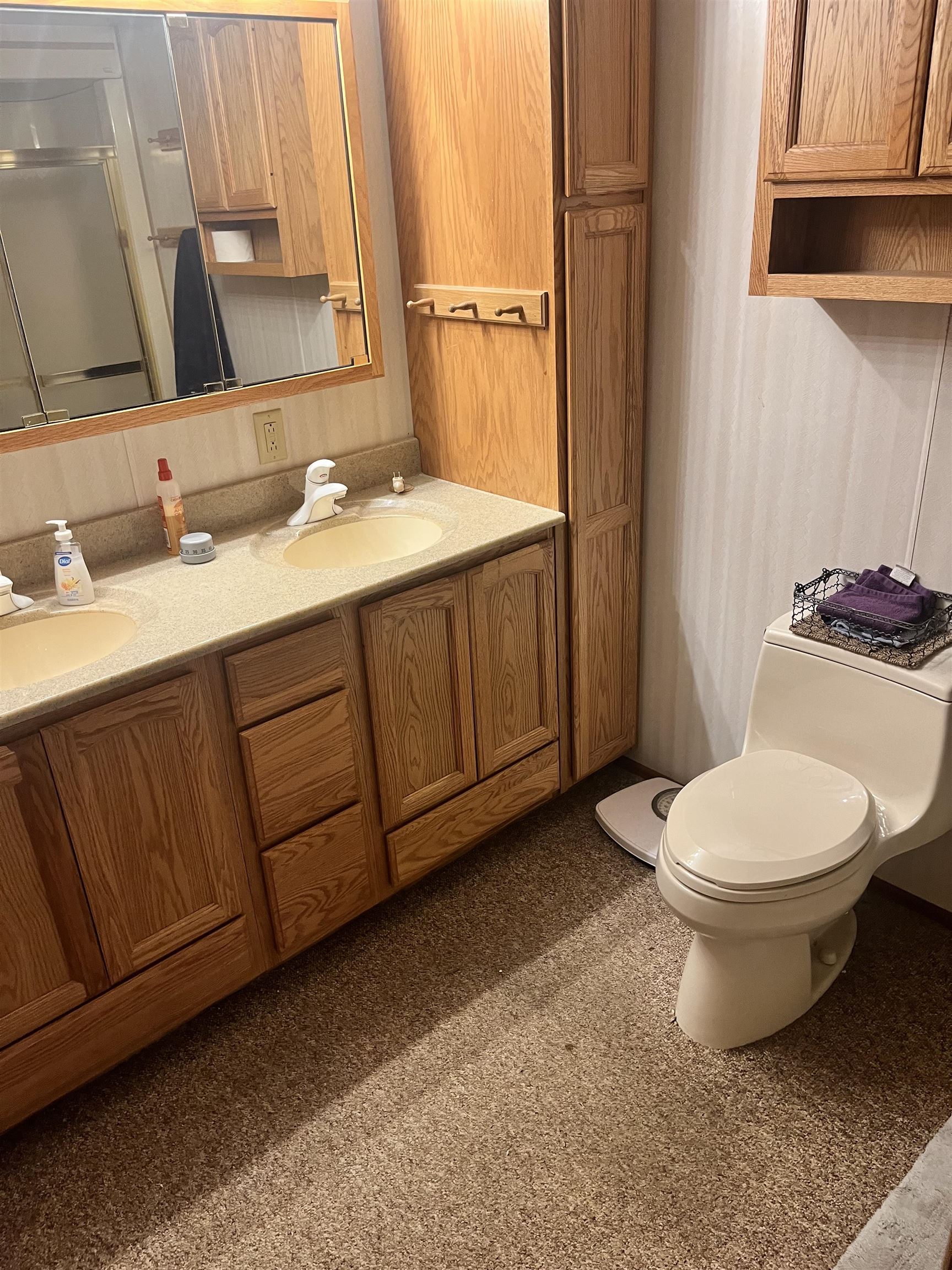 233 W Layman Drive