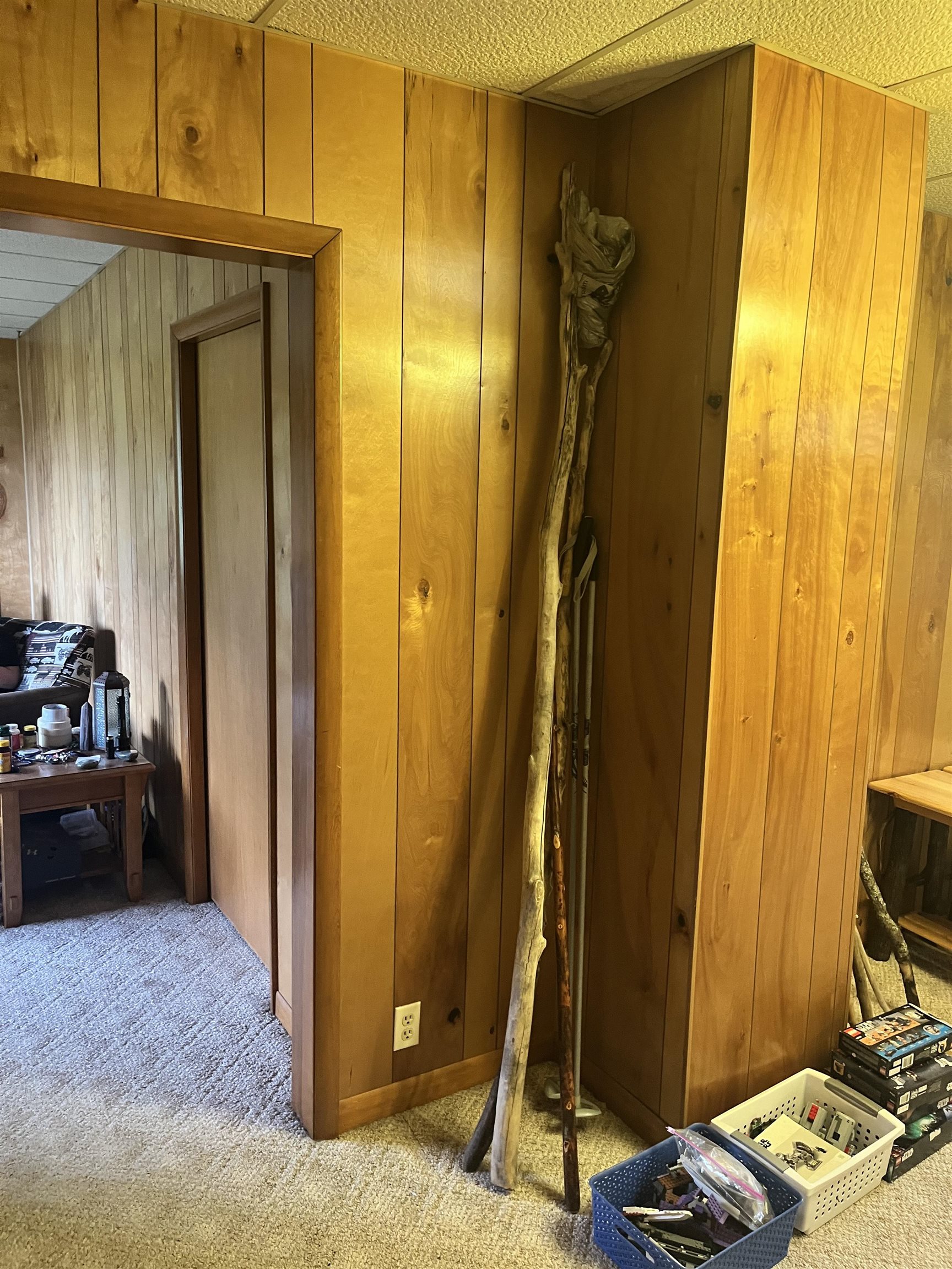 233 W Layman Drive