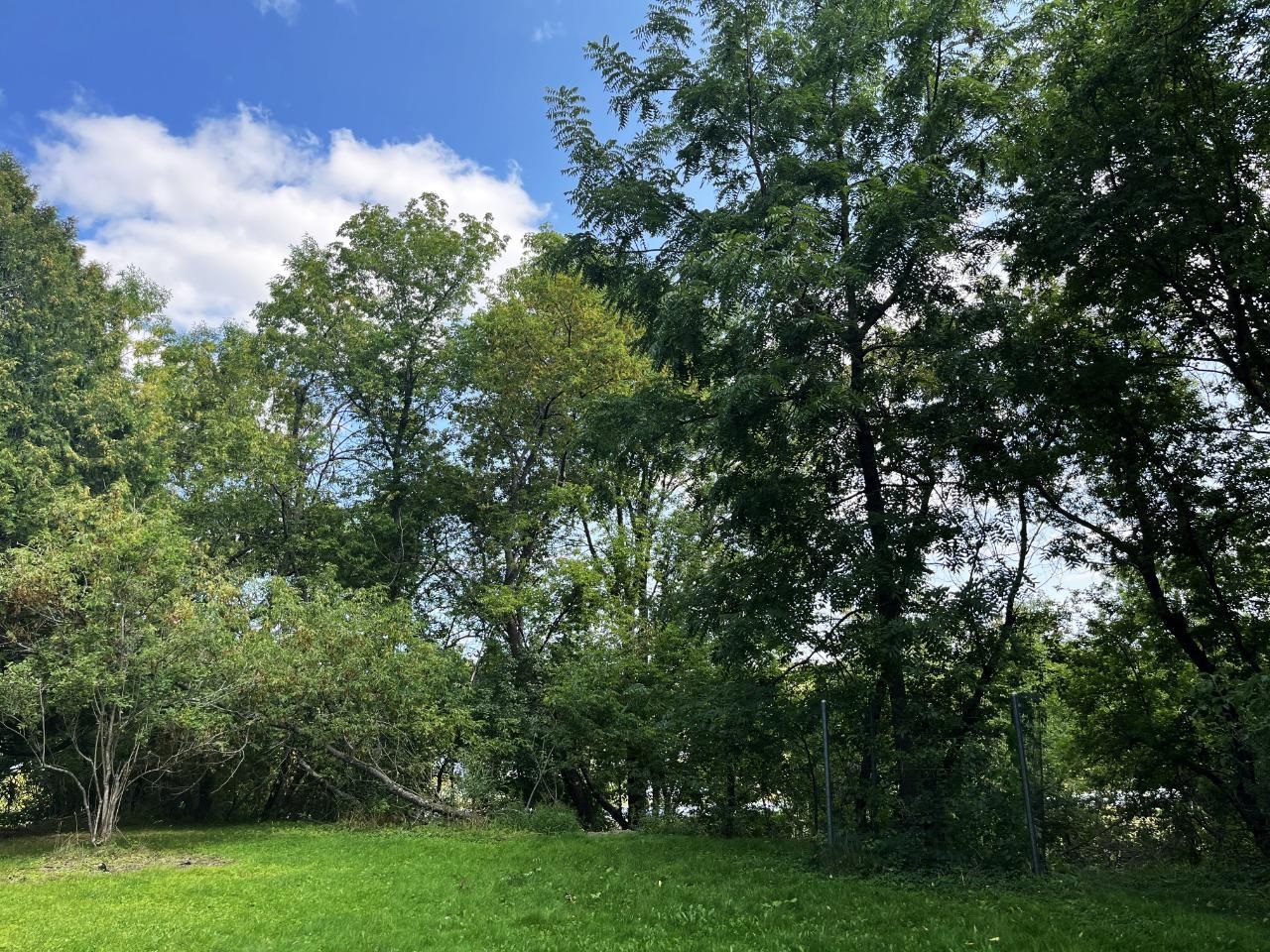 384 COURT STREET, Park Falls, Wisconsin 54552, 2 Bedrooms Bedrooms, ,1 BathroomBathrooms,Residential,For Sale,384 COURT STREET,22504472