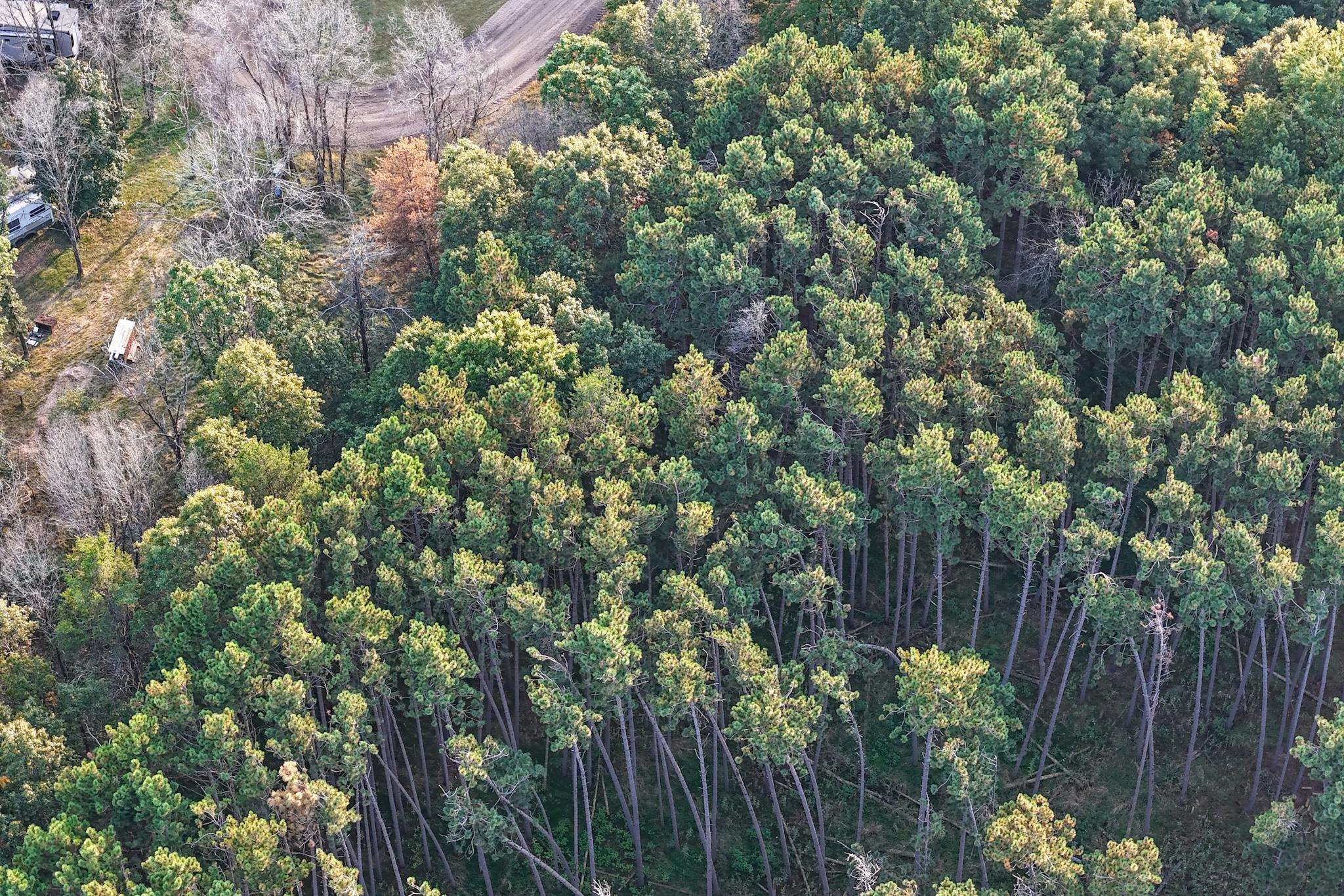 1002/1004 MOOR COURT, Nekoosa, Wisconsin 54457, ,Land,For Sale,1002/1004 MOOR COURT,22504485