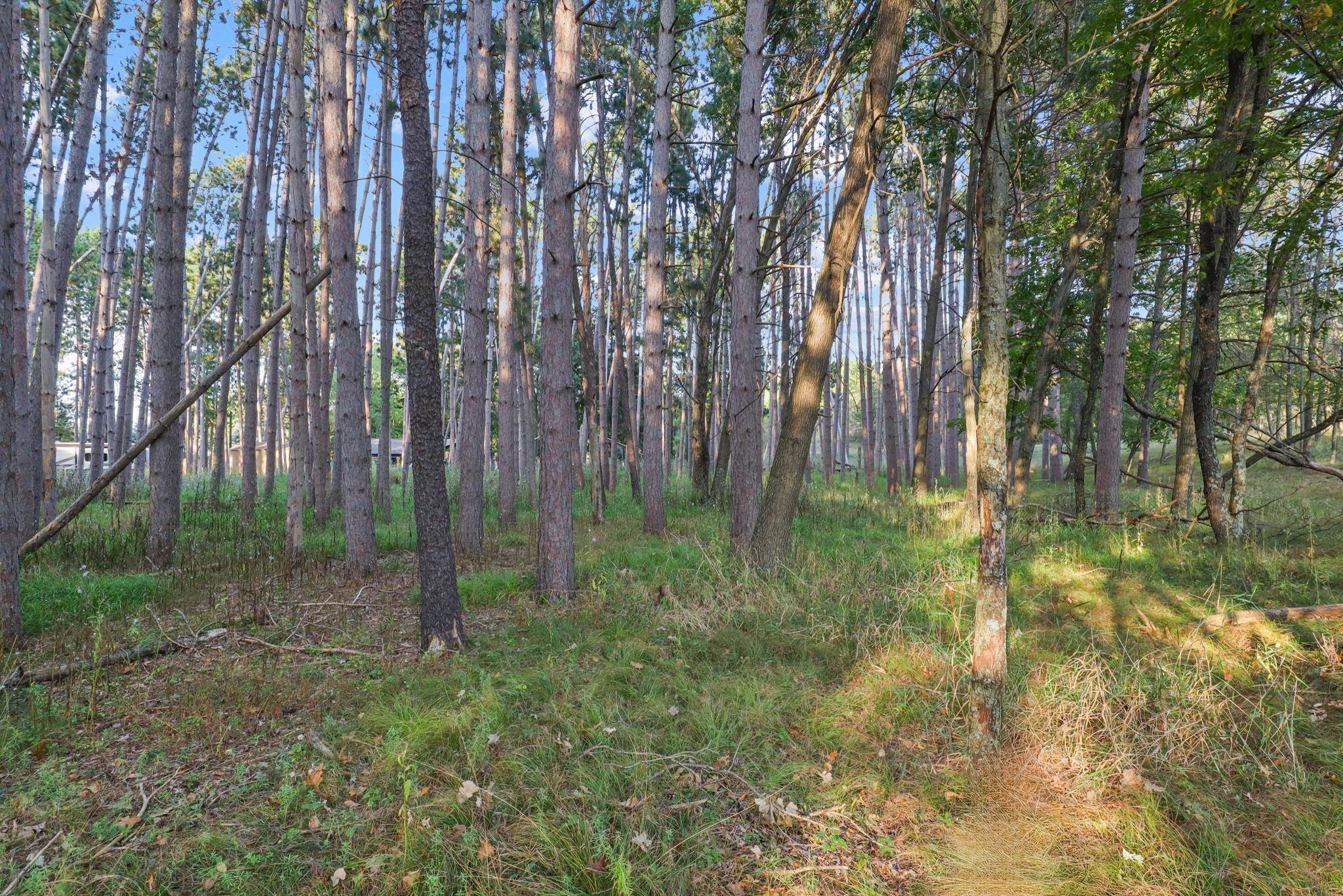 1002/1004 MOOR COURT, Nekoosa, Wisconsin 54457, ,Land,For Sale,1002/1004 MOOR COURT,22504485